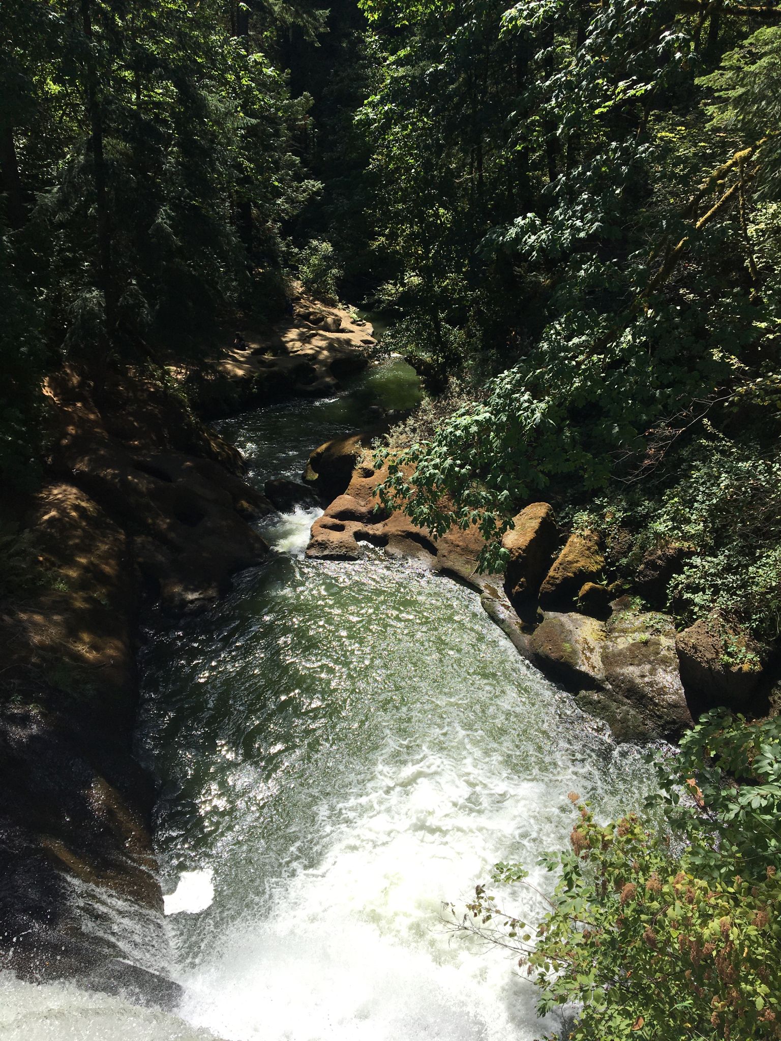 A powerful river flowing through a rocky gorge, surrounded by sunlit green trees. - Round Lakes Upper Dam – Round Lake loop from Camas High School