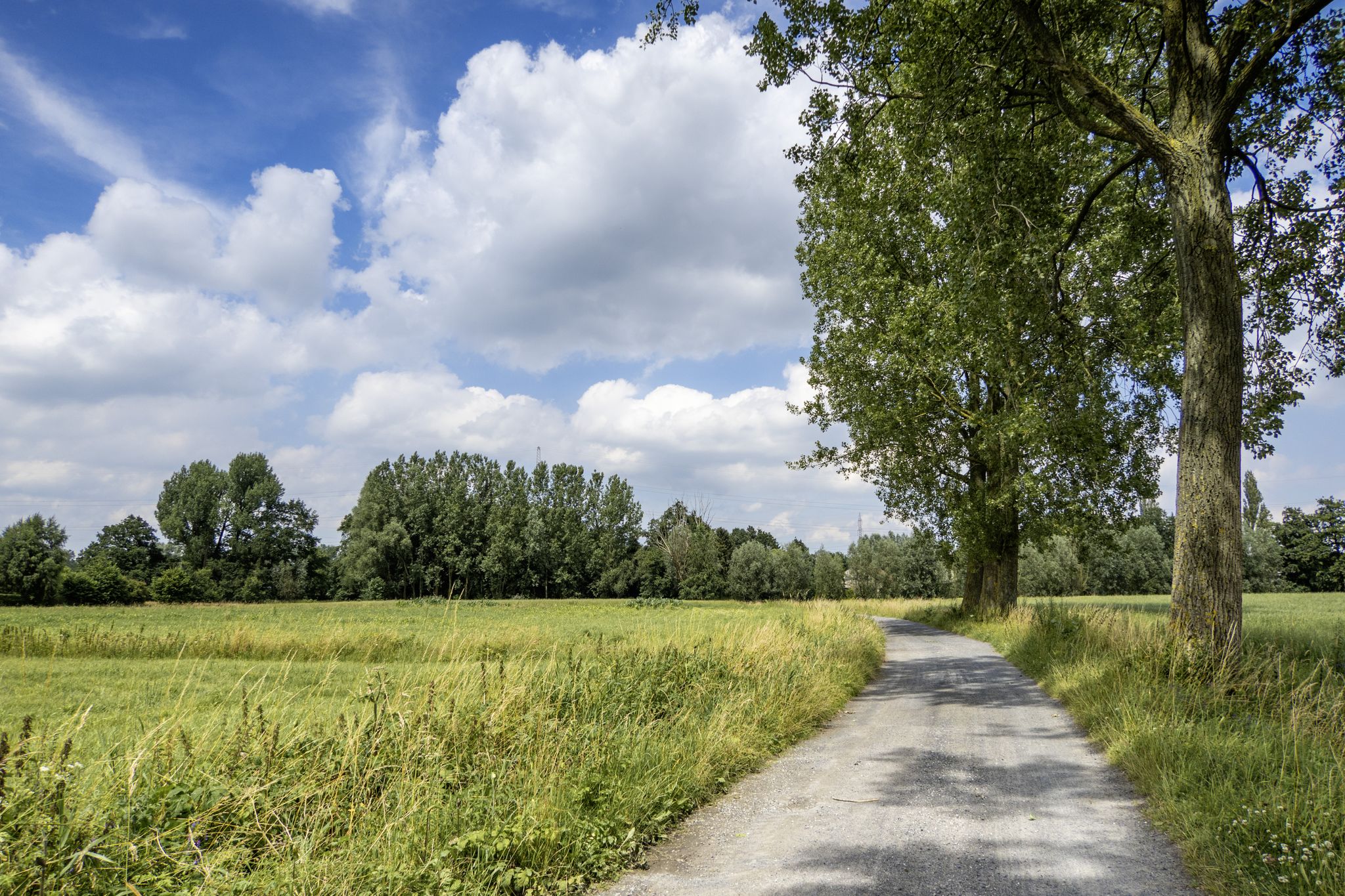 Op het gravel van de Arkestraat