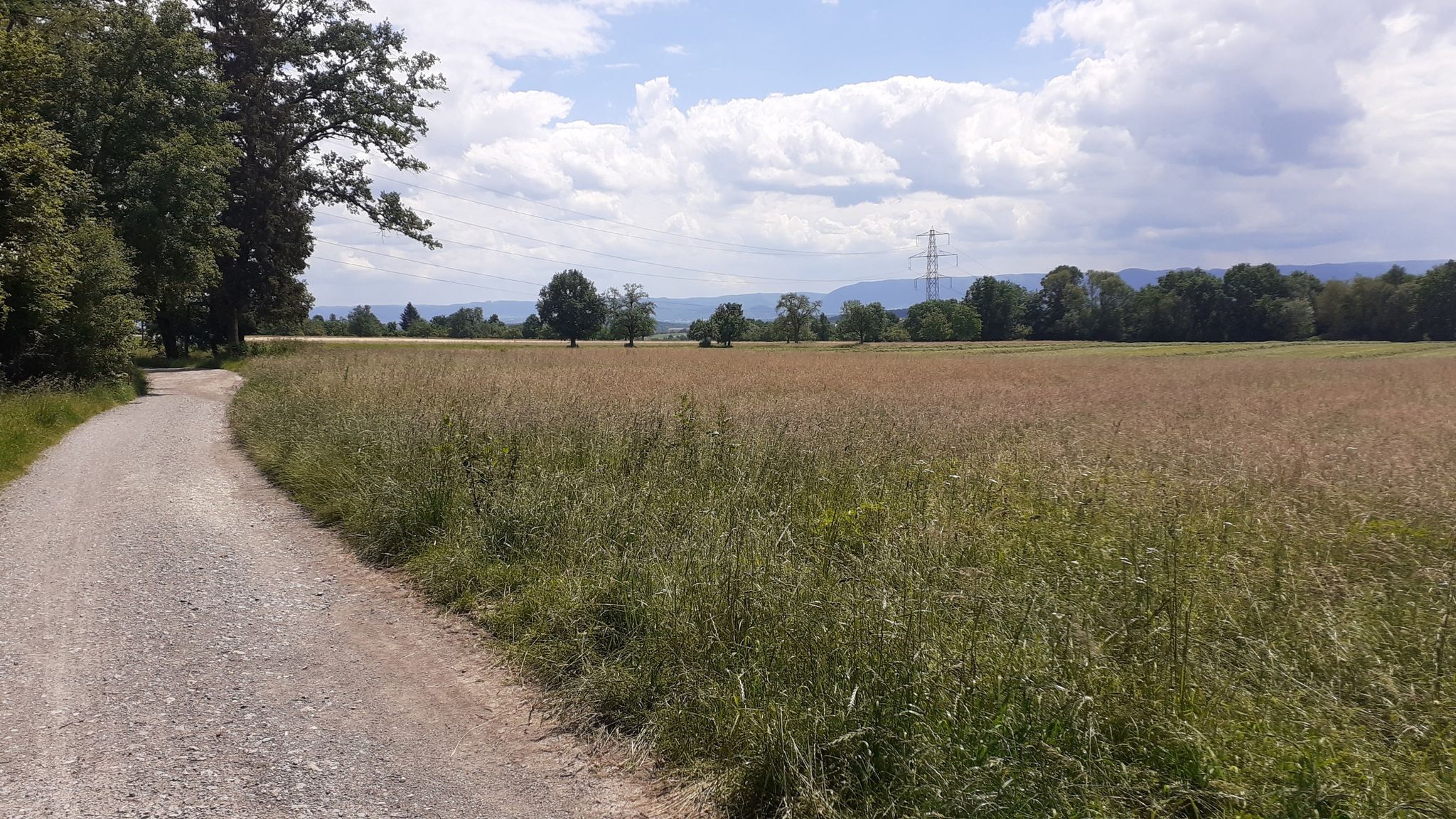 s10 letzter Blick