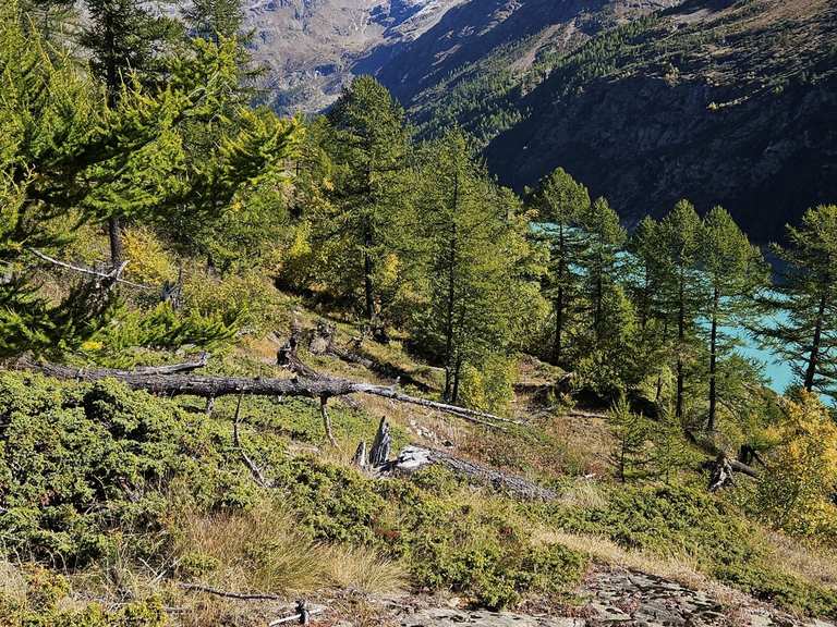 🇮🇹 Aosta/Places Moulin: Bivacco Col Collon + Rifugio Nacamuli (2818 m ...