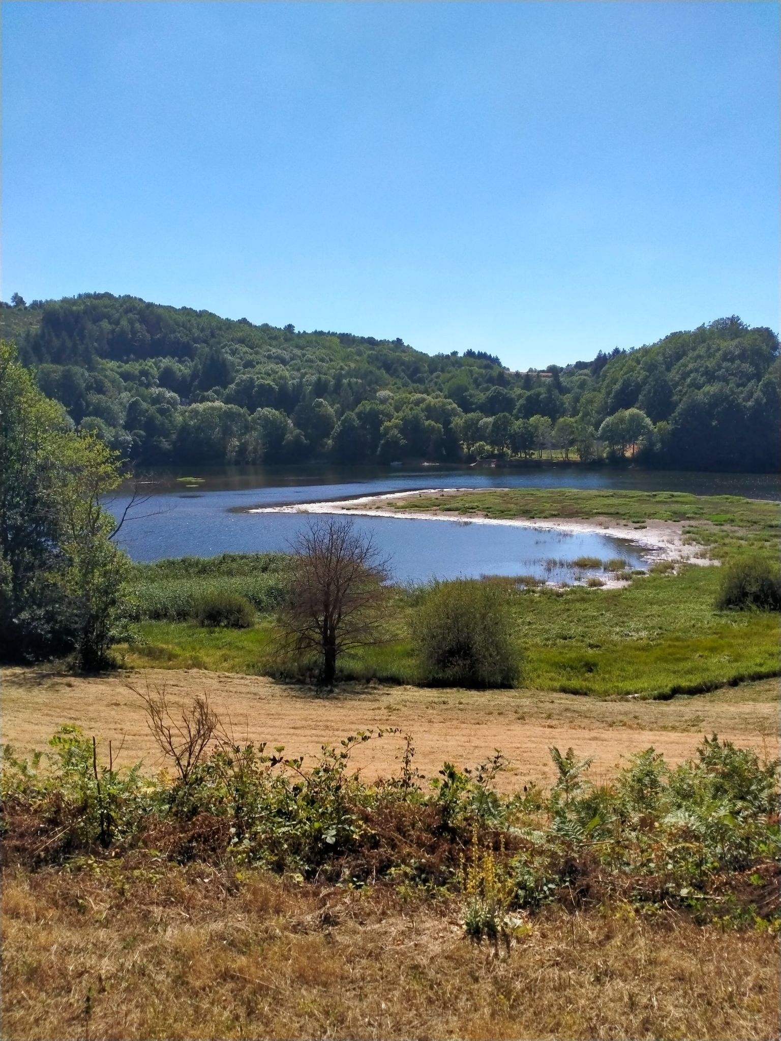 Belvédère