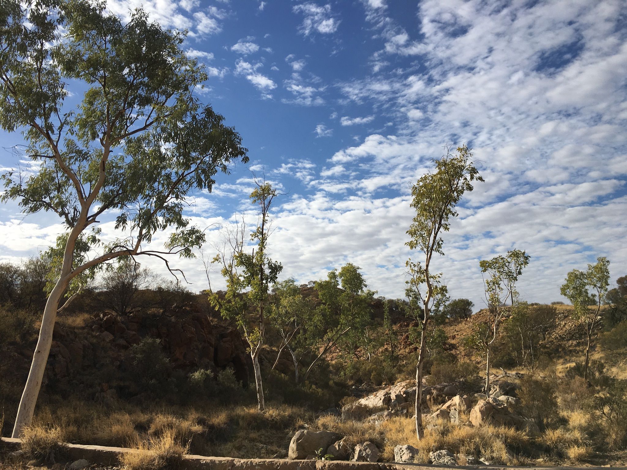 Morning tea stop, section 1 Larapinta trail