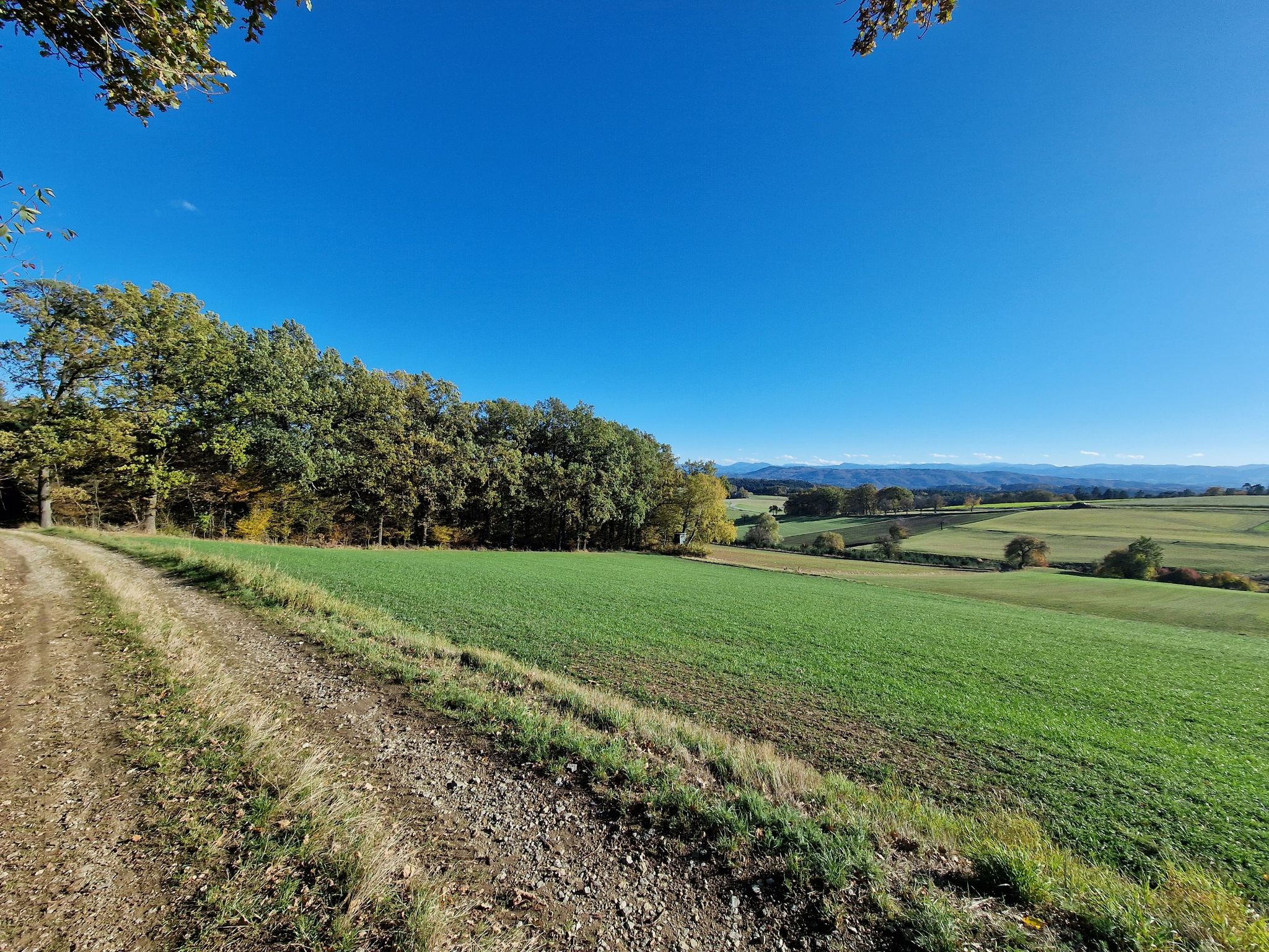 Weiter gehts Richtung Artstetten