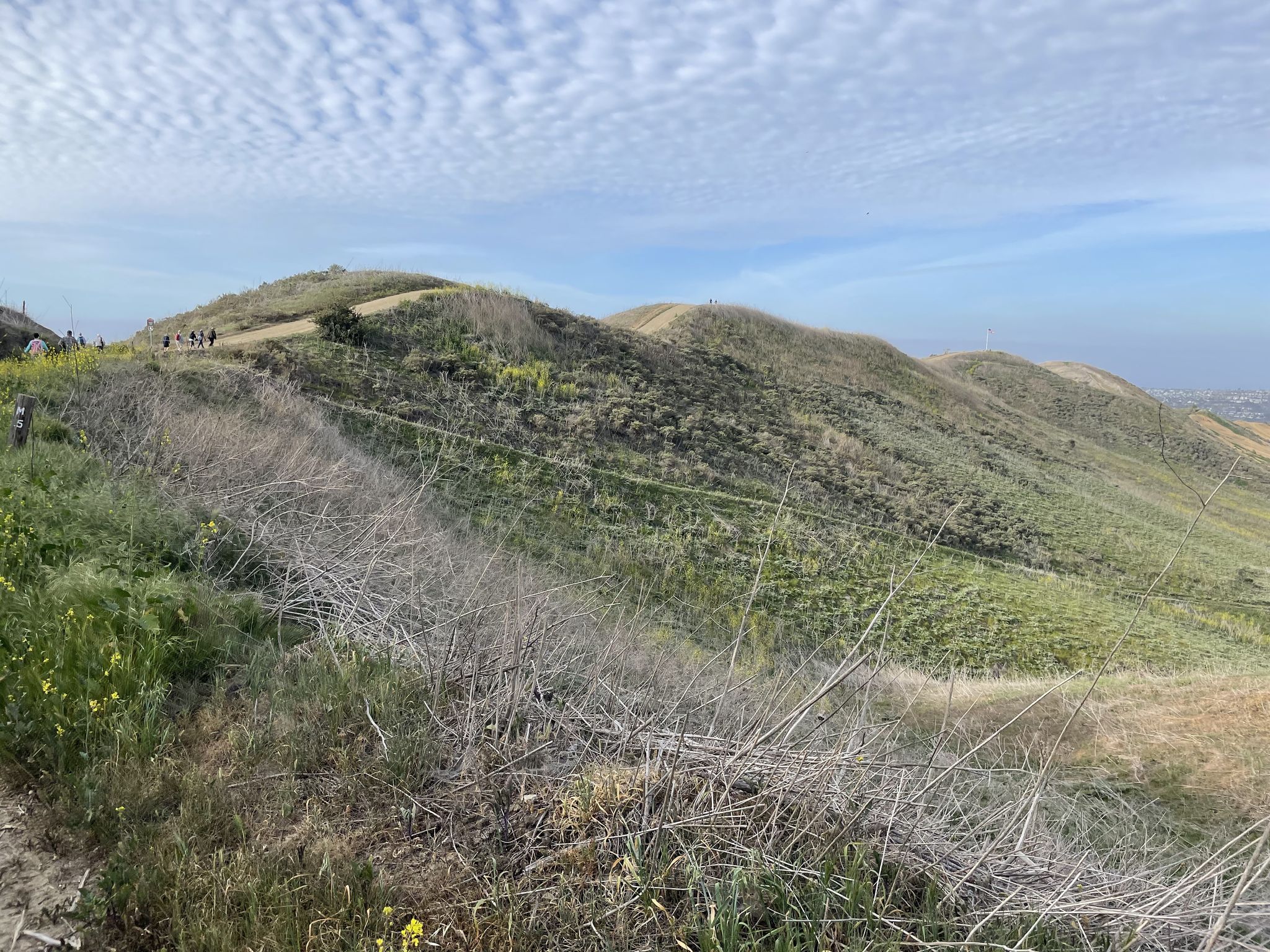 People hike on a winding dirt path across rolling green hills under a cloudy sky. - Patriot Trail and Forster Canyon Loop