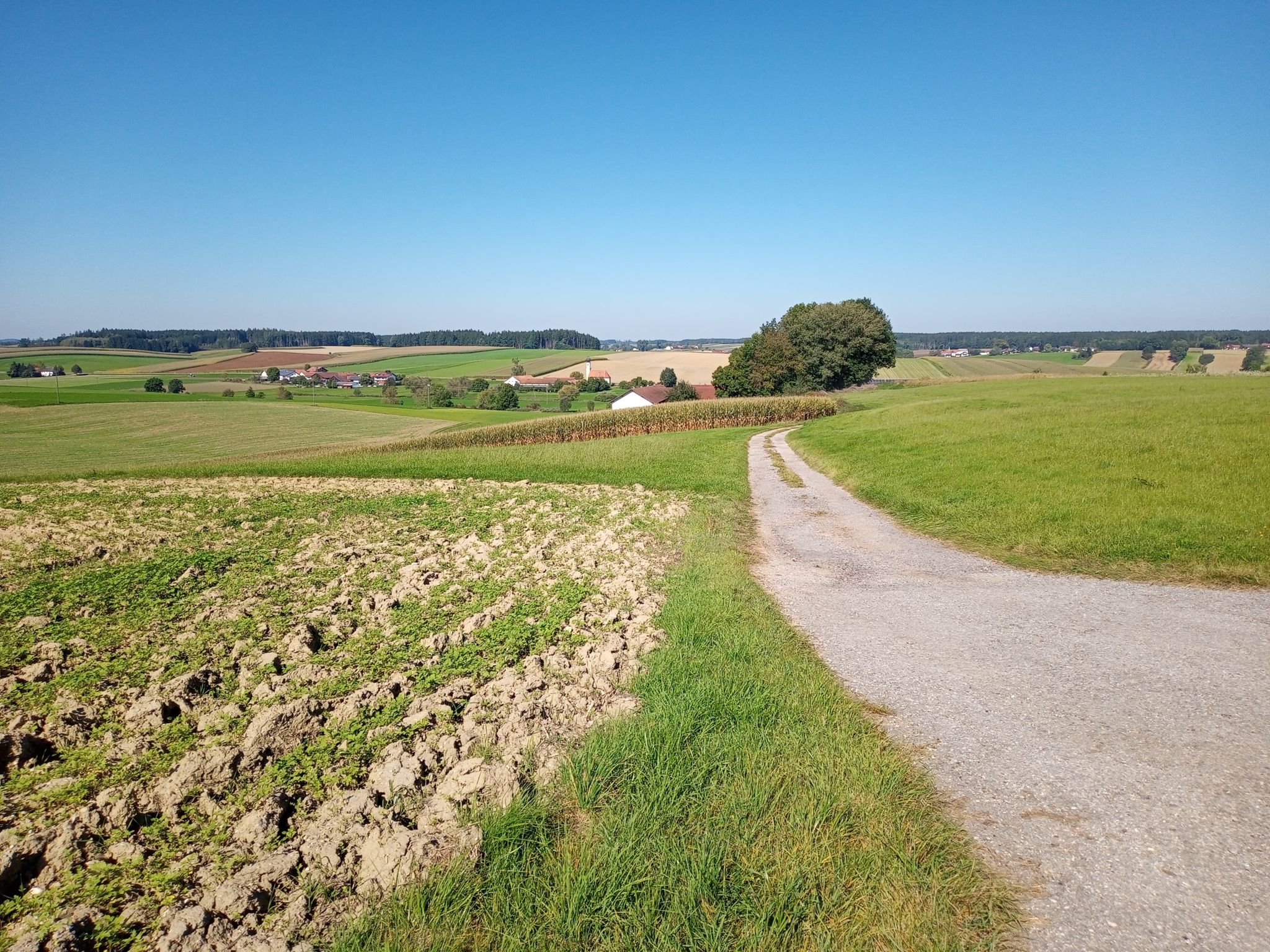 view
