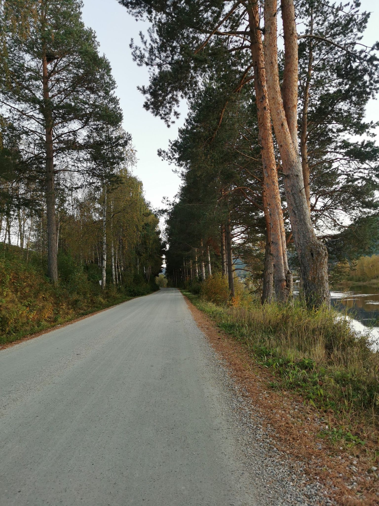 Approaching Alvdal - along Brannvålsveien