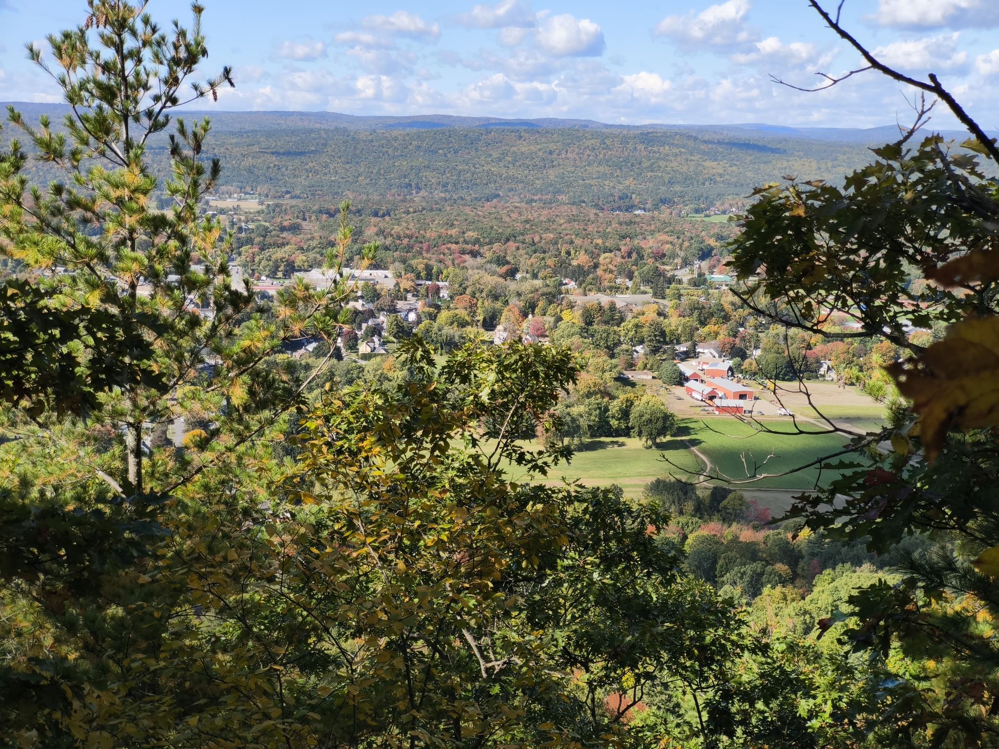 View point