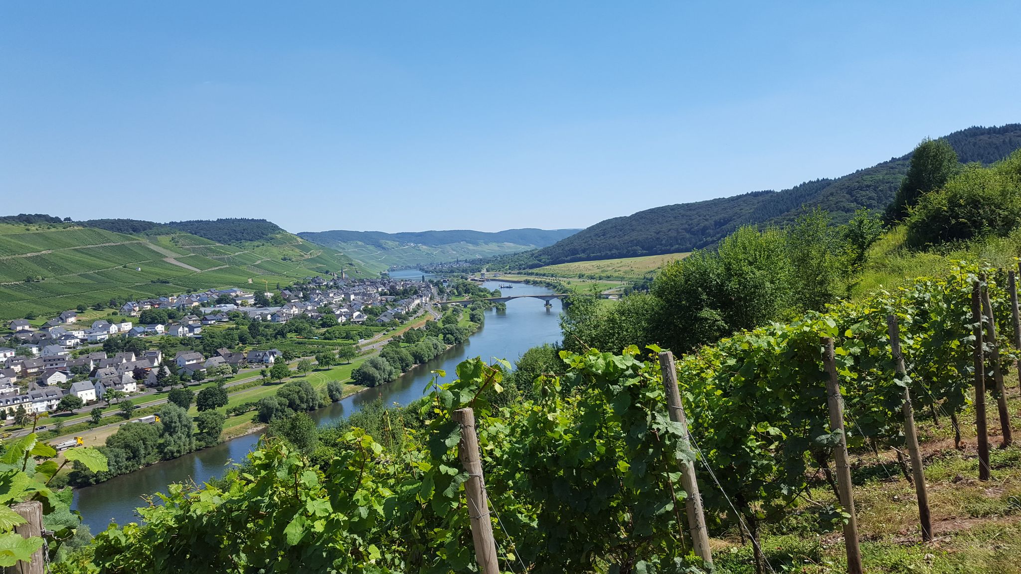 Blick auf Zeltingen