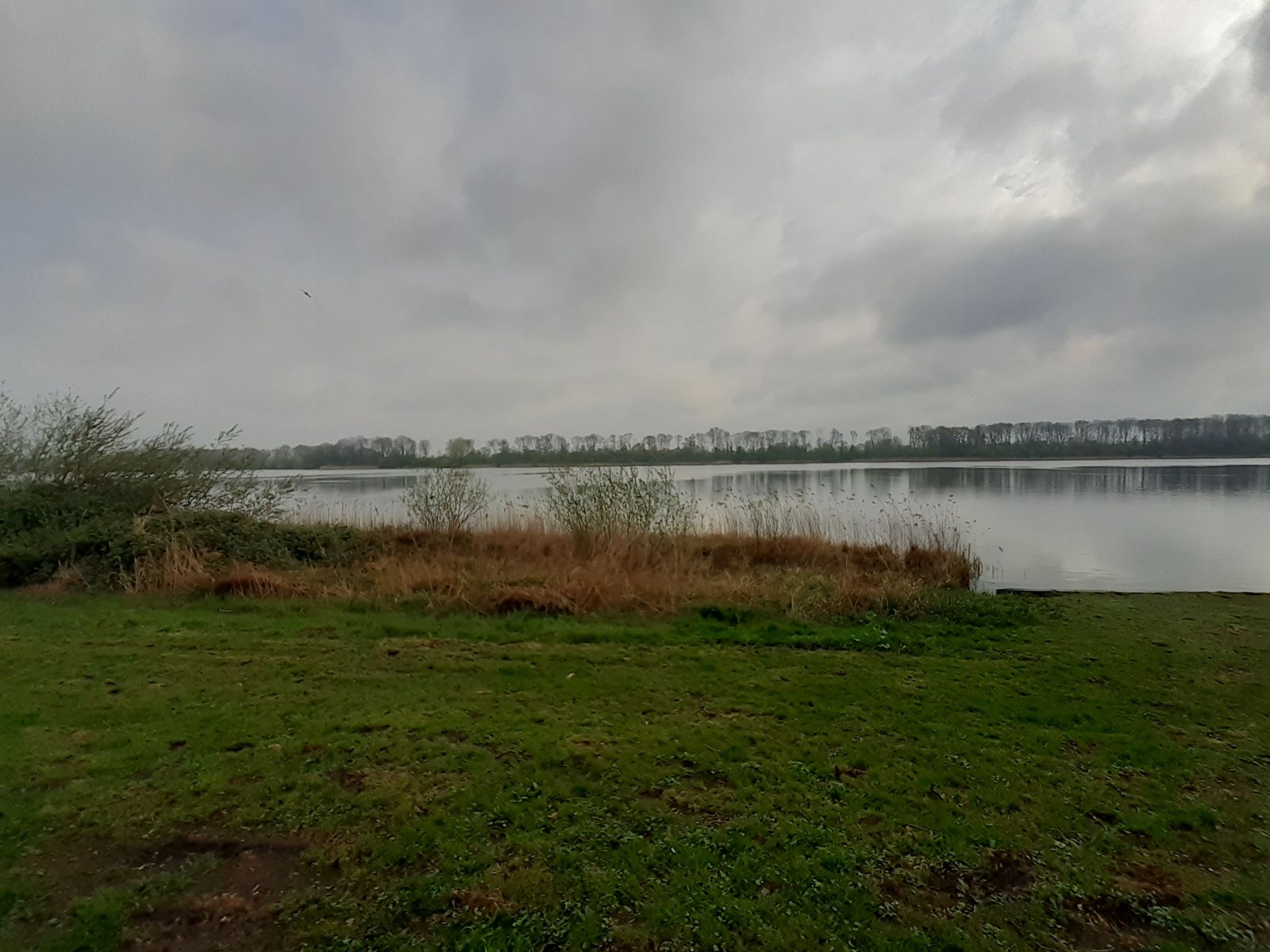 Maarsseveense Plassen
