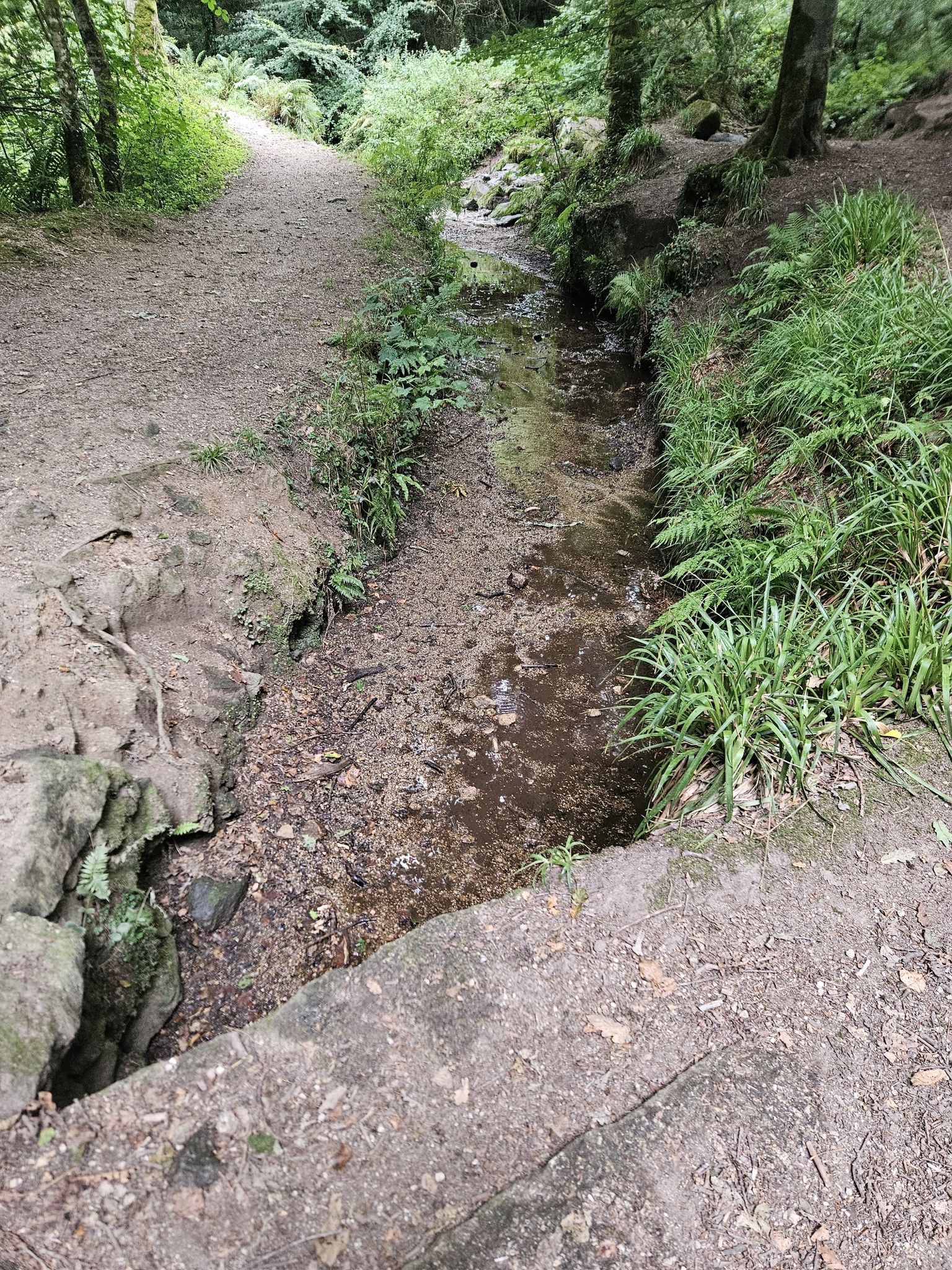 bridge over stream