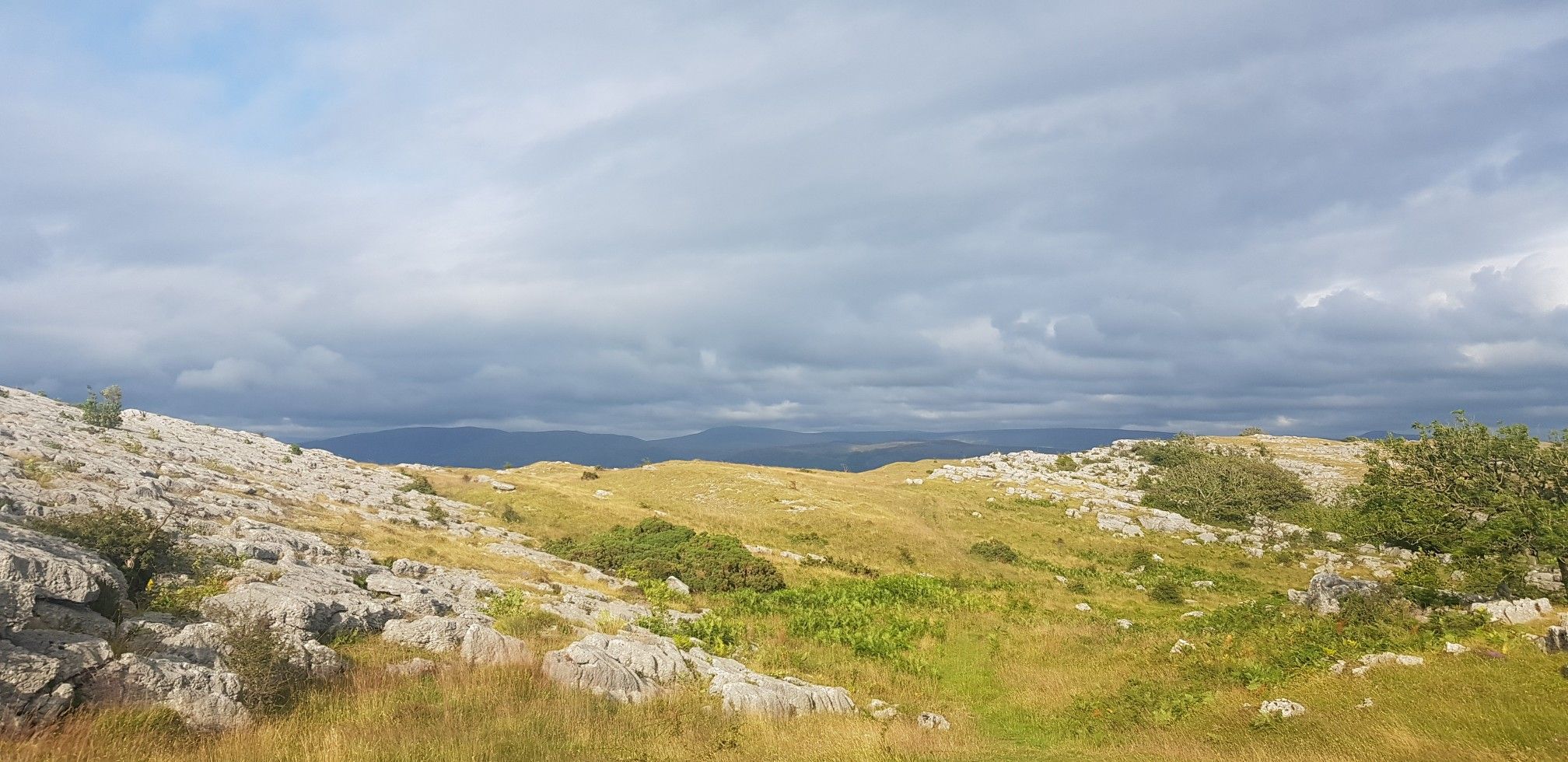 looking North 