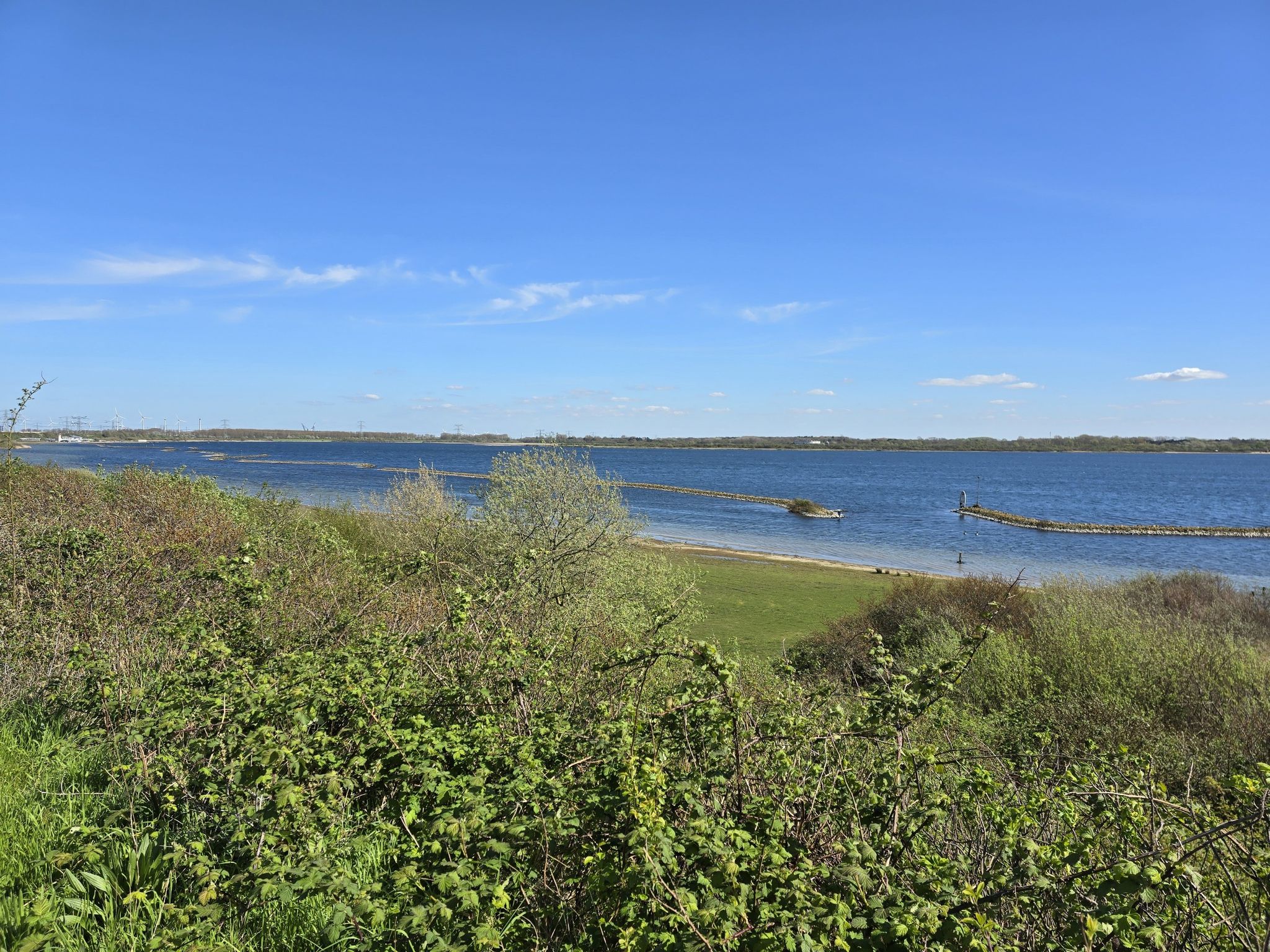 Oostvoornse Meer
