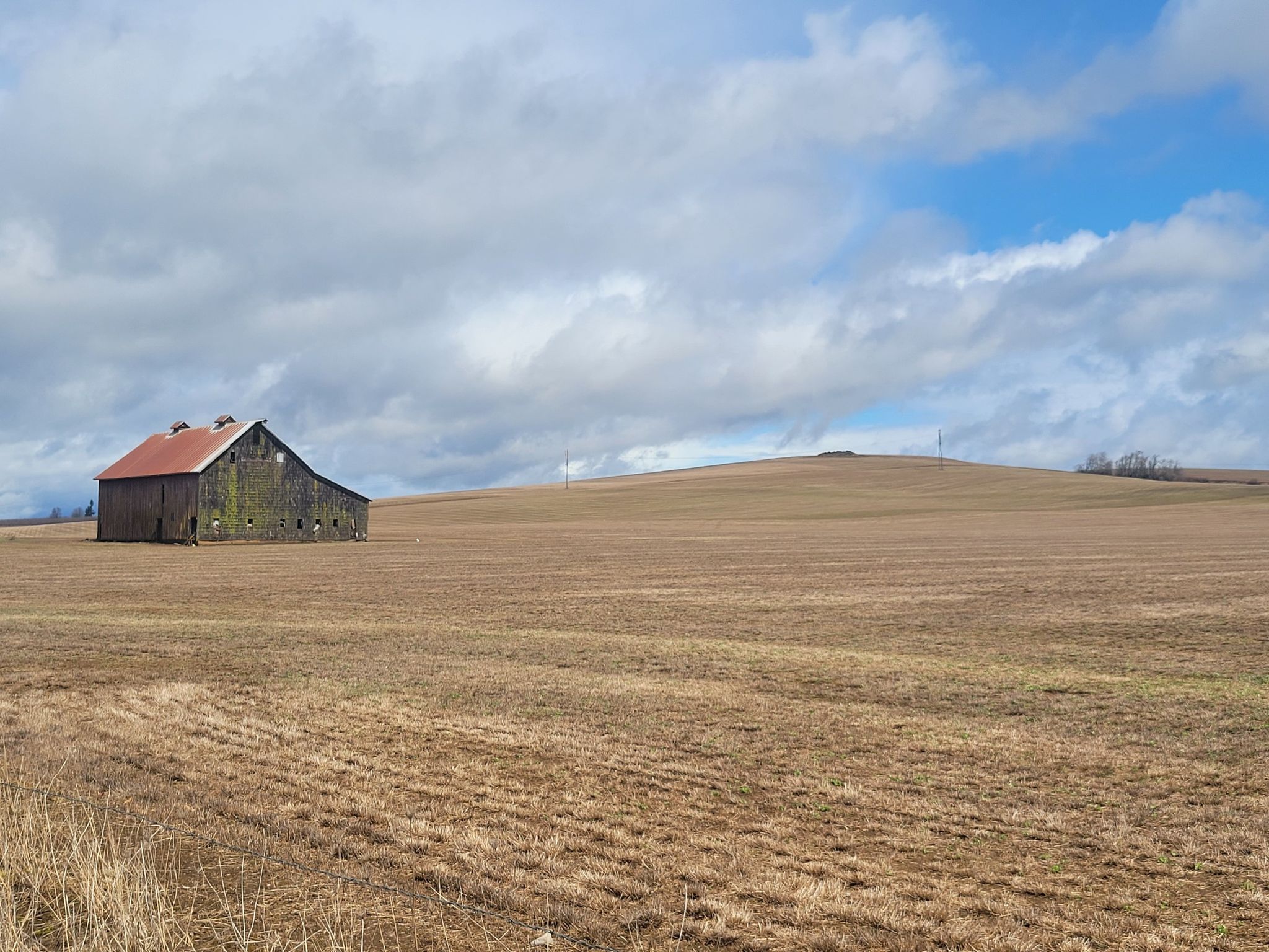 An old barn stands in vast, dry, rolling fields under an overcast sky. - Stayton — Silverton — Silver Falls State Park loop