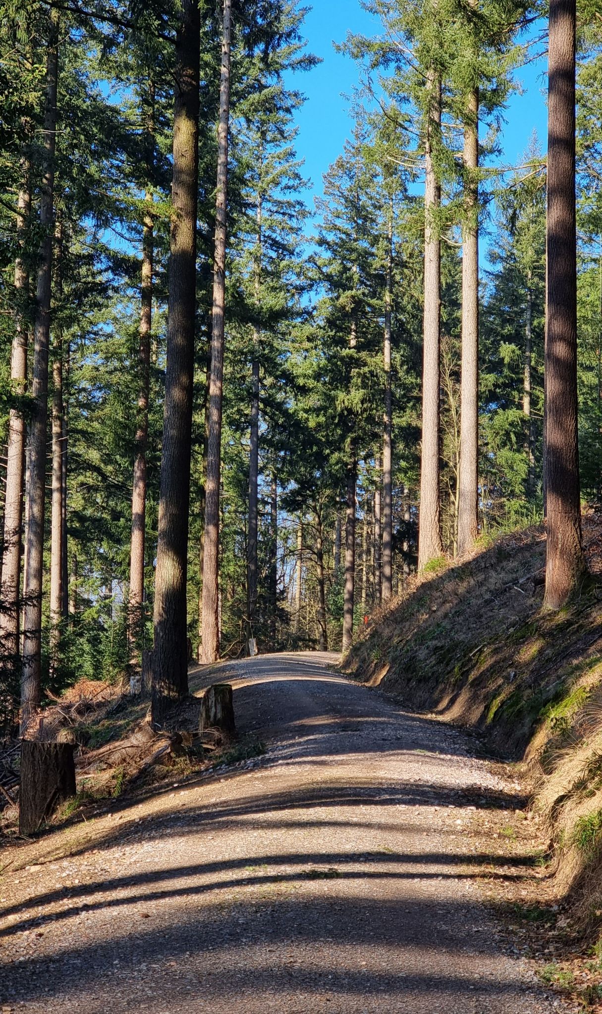 Schokoladenweg (nix Schokolade!)