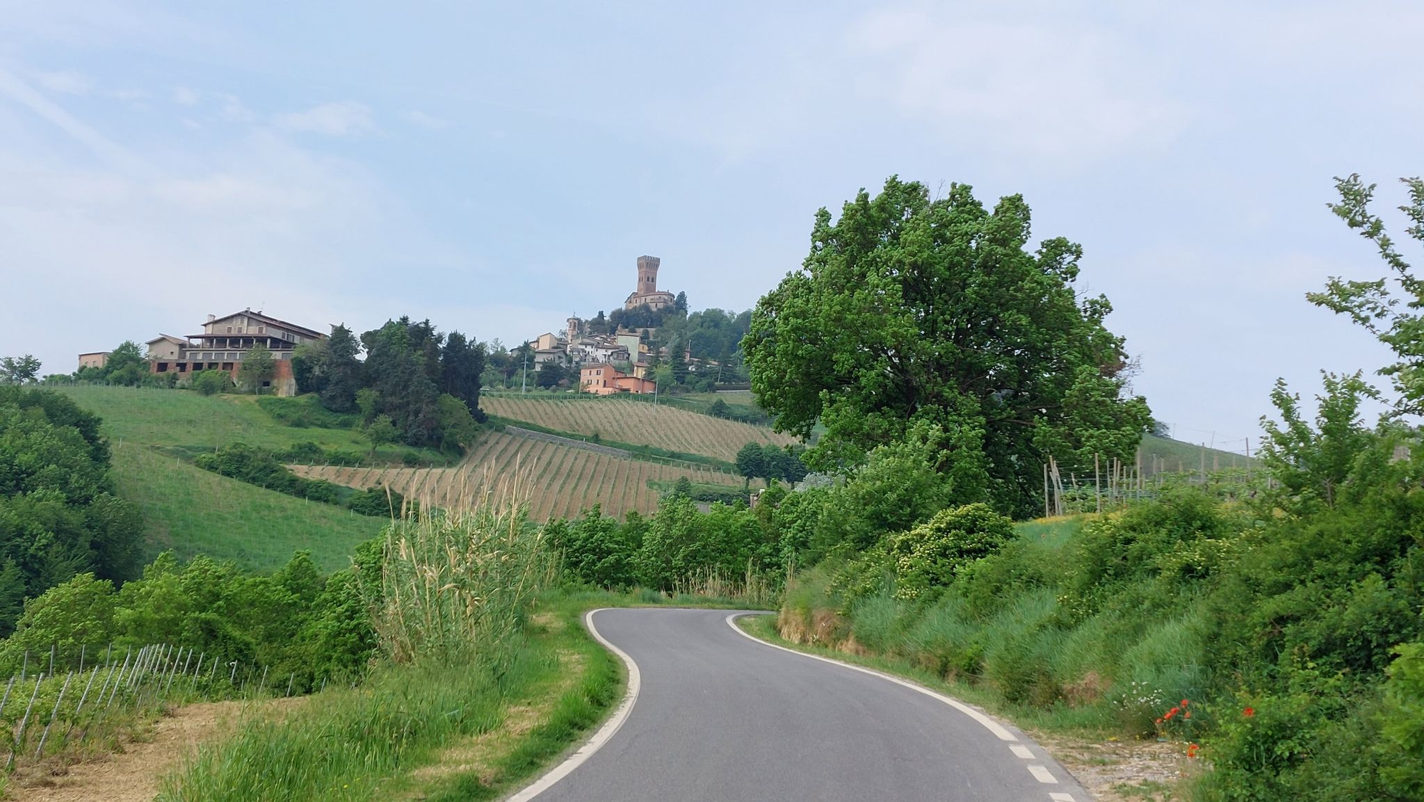 Cigognola