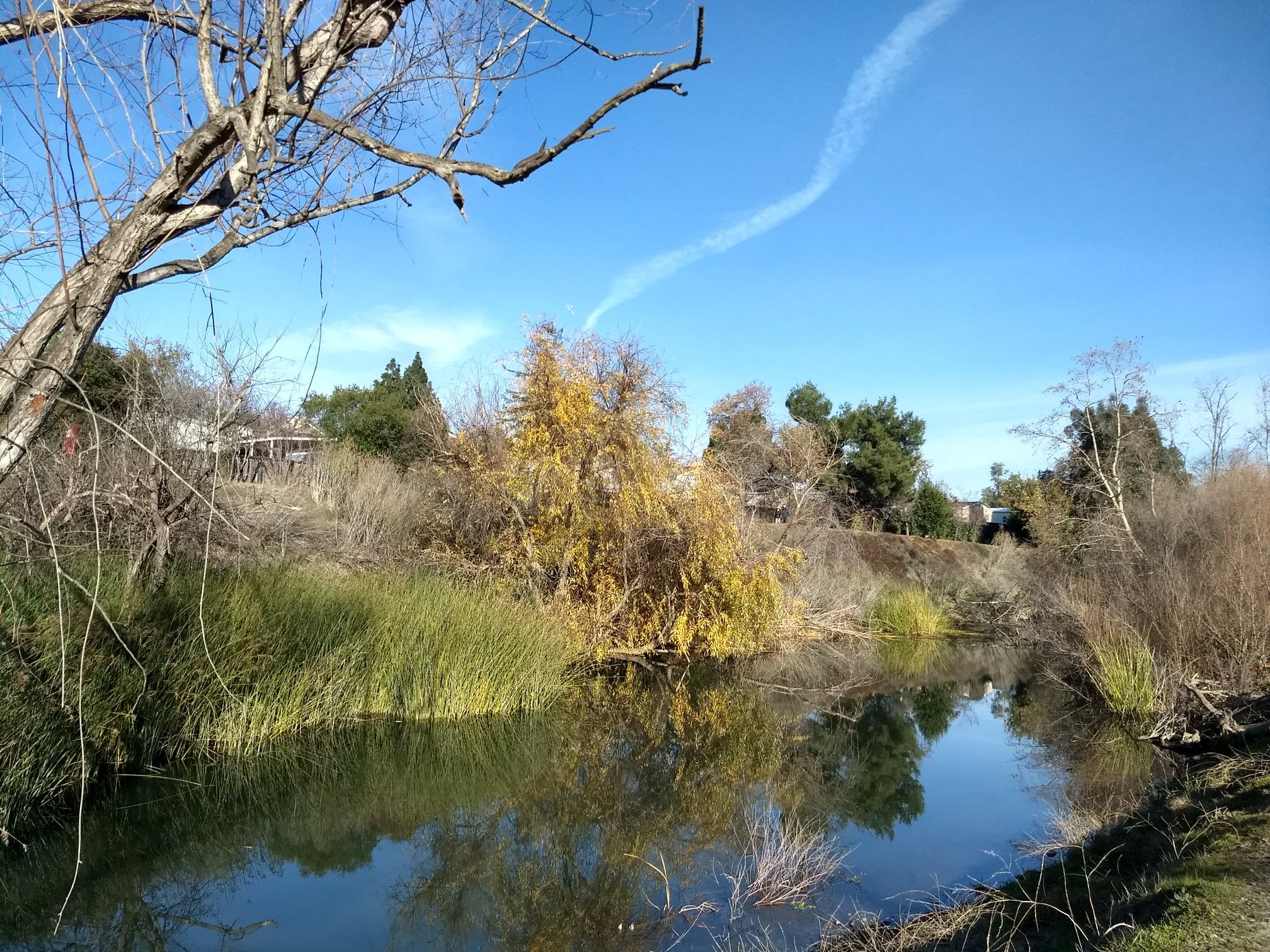 Sunny view of a calm waterway with reflections and colorful autumn trees. - Los Gatos Creek Trail