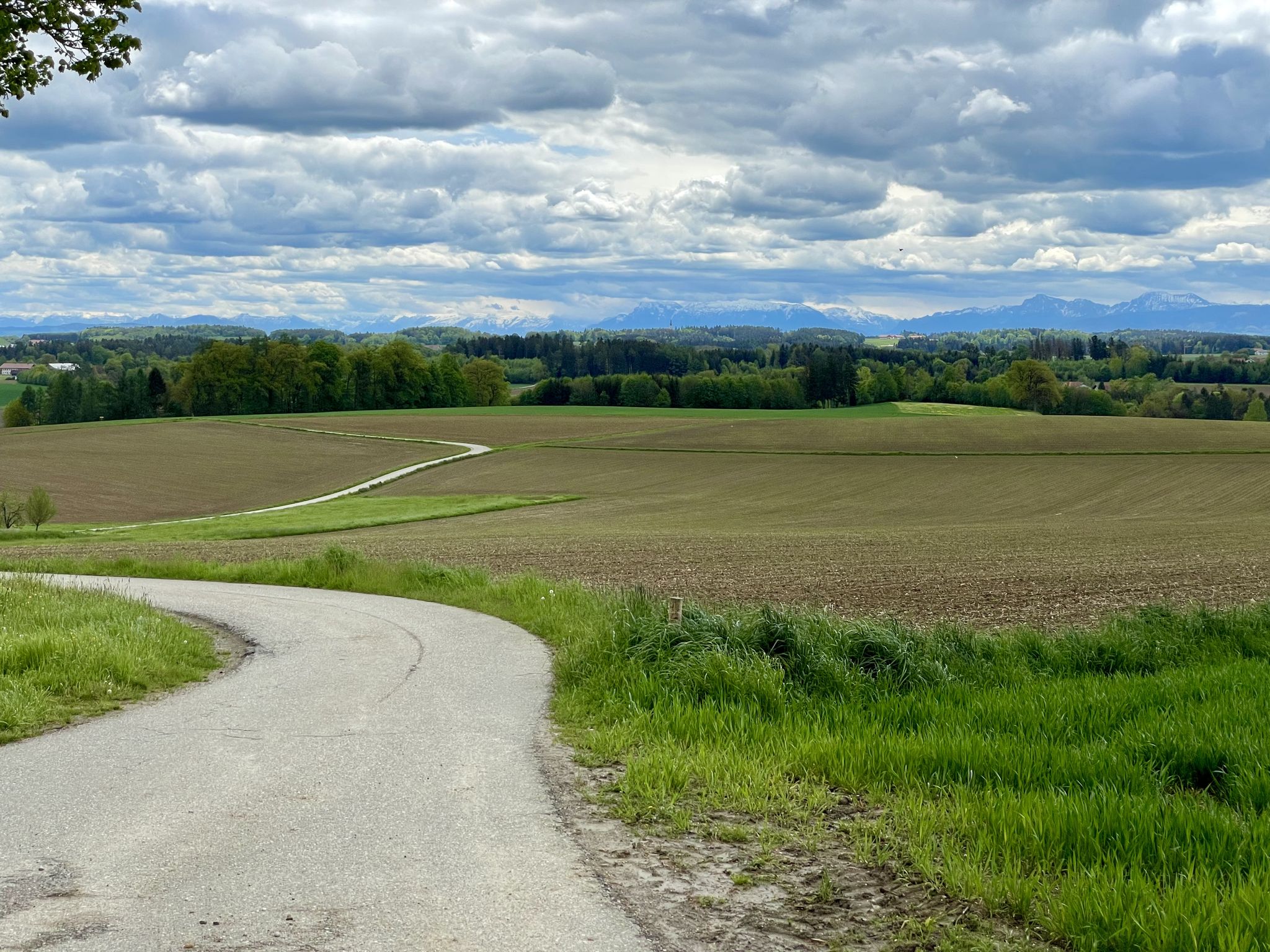 Immer wieder bietet sich ein schöner Blick bis in die Alpen.