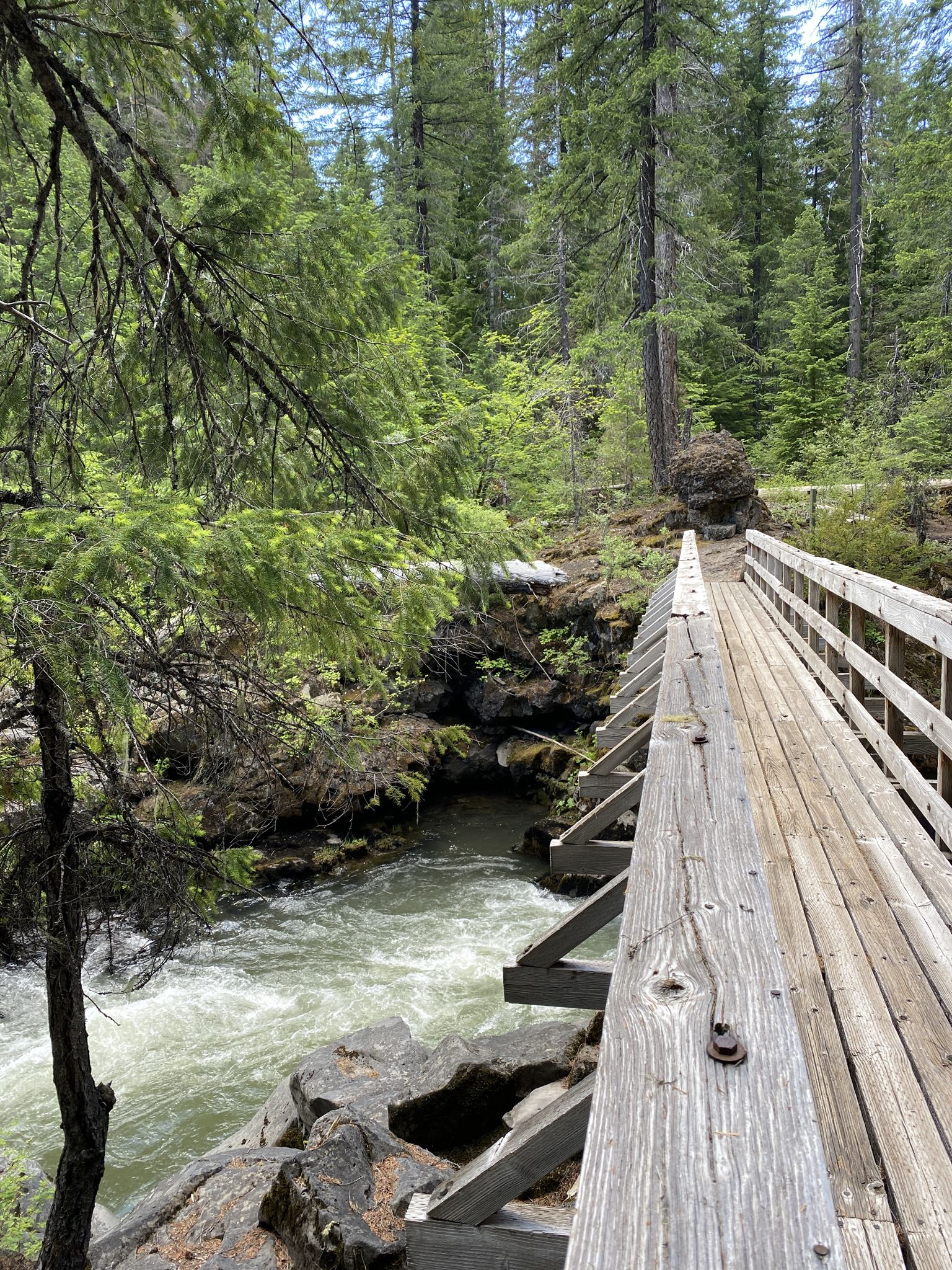 A wooden footbridge extends over a rushing river, bordered by a lush forest. - Rogue Gorge and Natural Bridge Loop