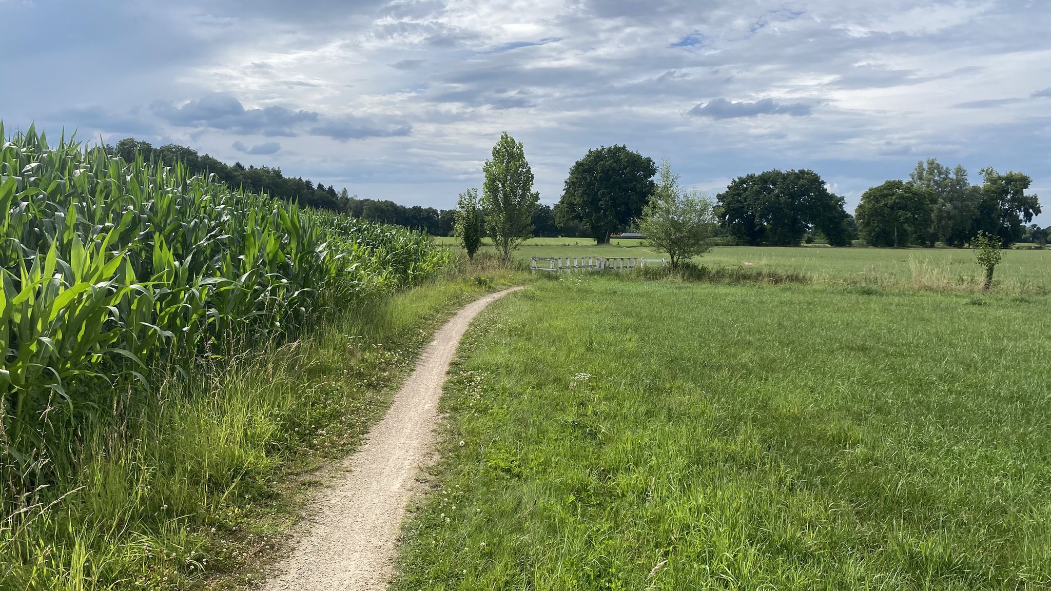 Binkhorsterkerkpad