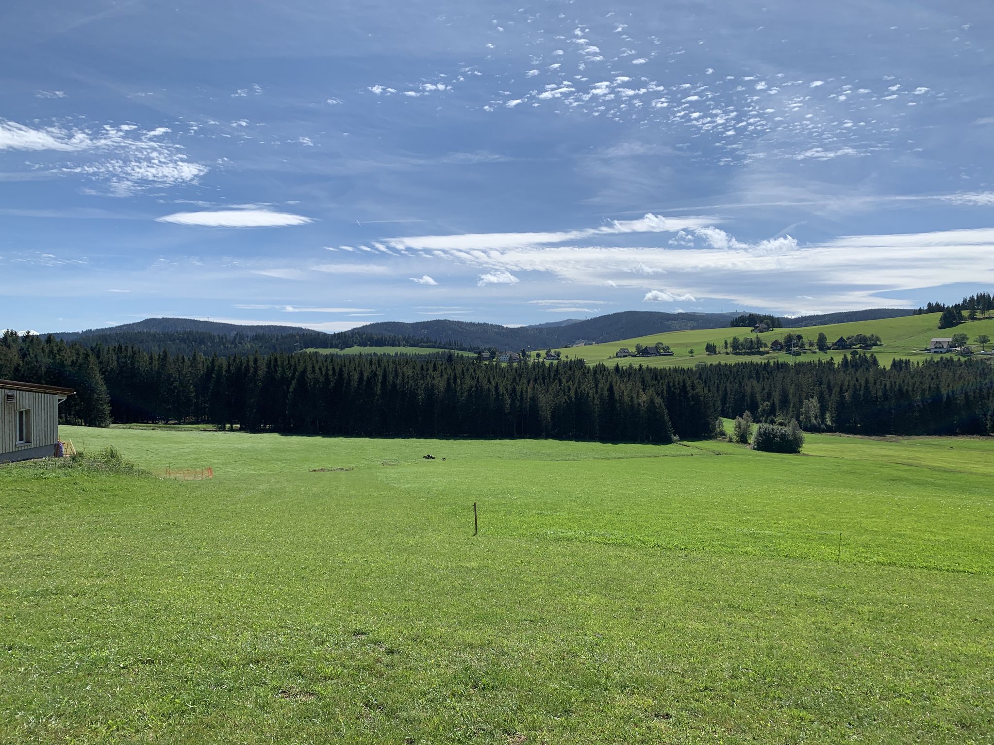 hinten ist der Feldber