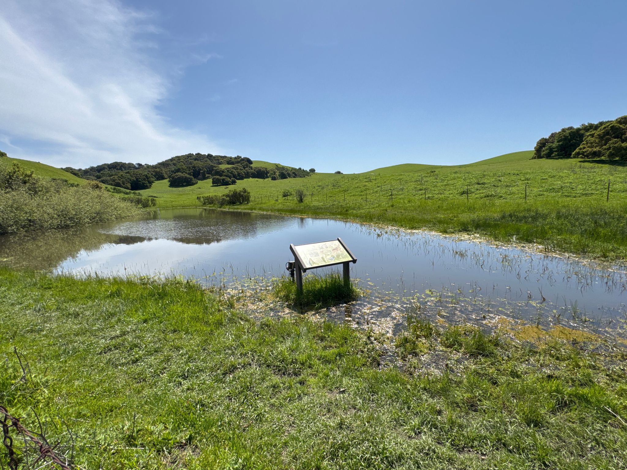 A small pond with a wooden sign surrounded by lush green hills. - Maricich Lagoon – Alhambra Creek Trail loop from Alhambra Creek Valley Staging Area