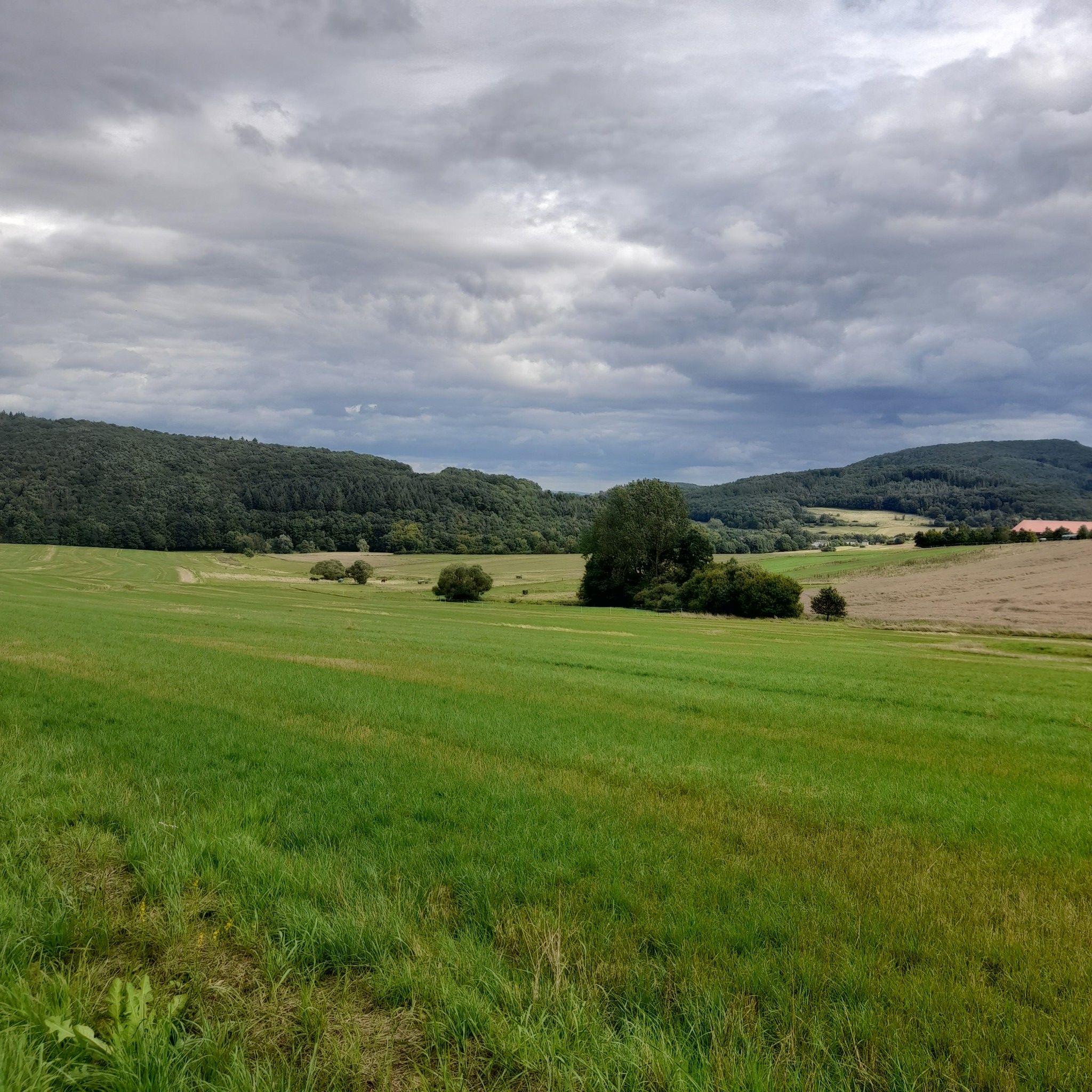 Blick zum Koppe Turm