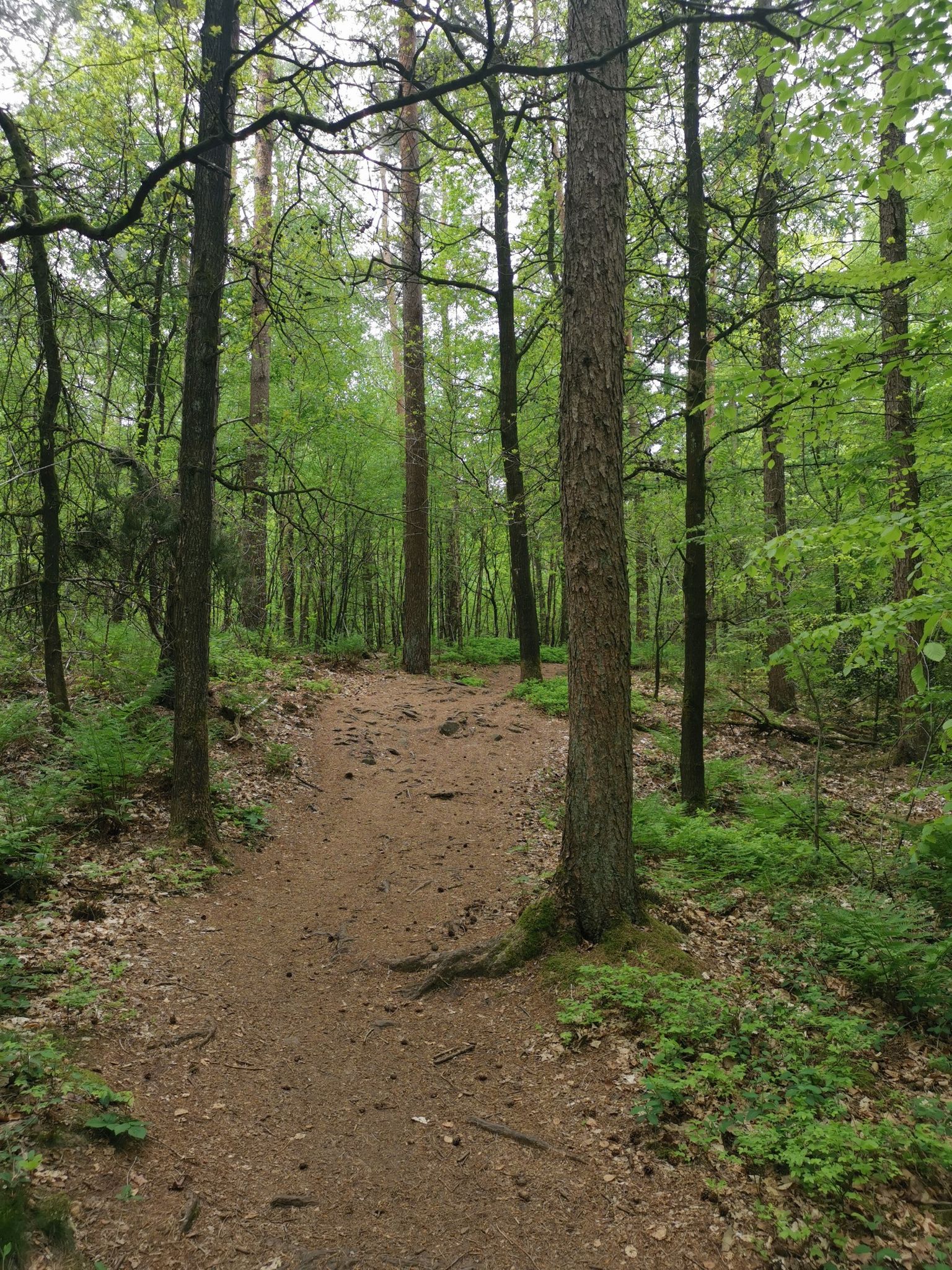 Ein Top-Wanderweg