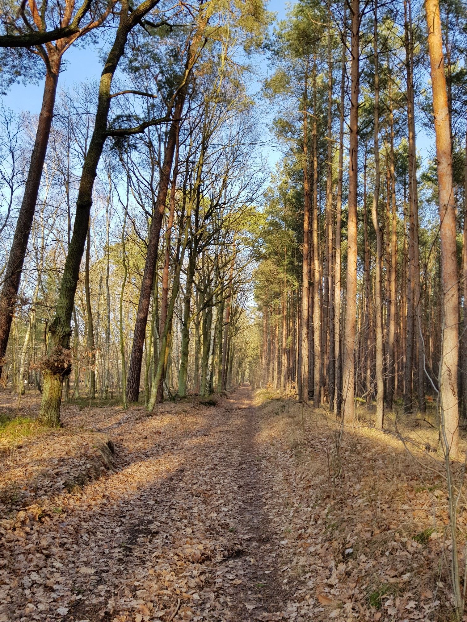 Schönes Wetter heute!