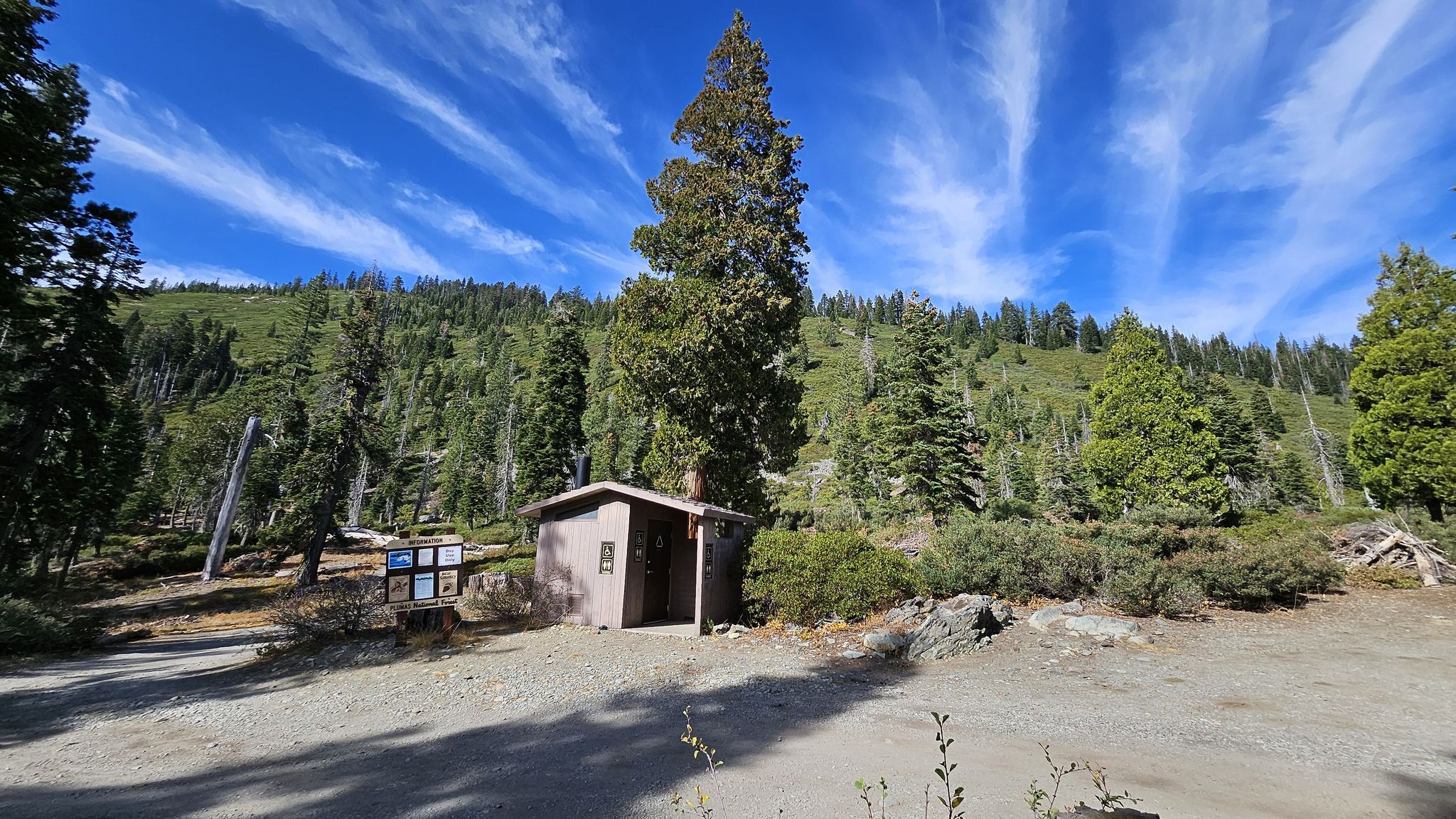 Small building beneath a tall pine tree on a forested hillside. - Long Lake Trail