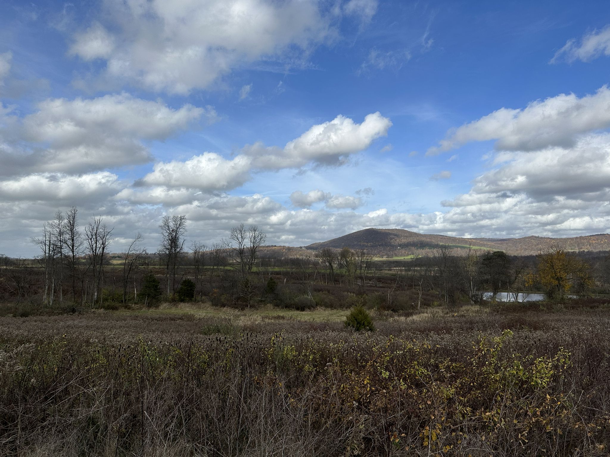 Expansive field with dry vegetation, bare trees, distant mountains under cloudy sky. - Cornwall Terrace Pond loop from Sinking Spring