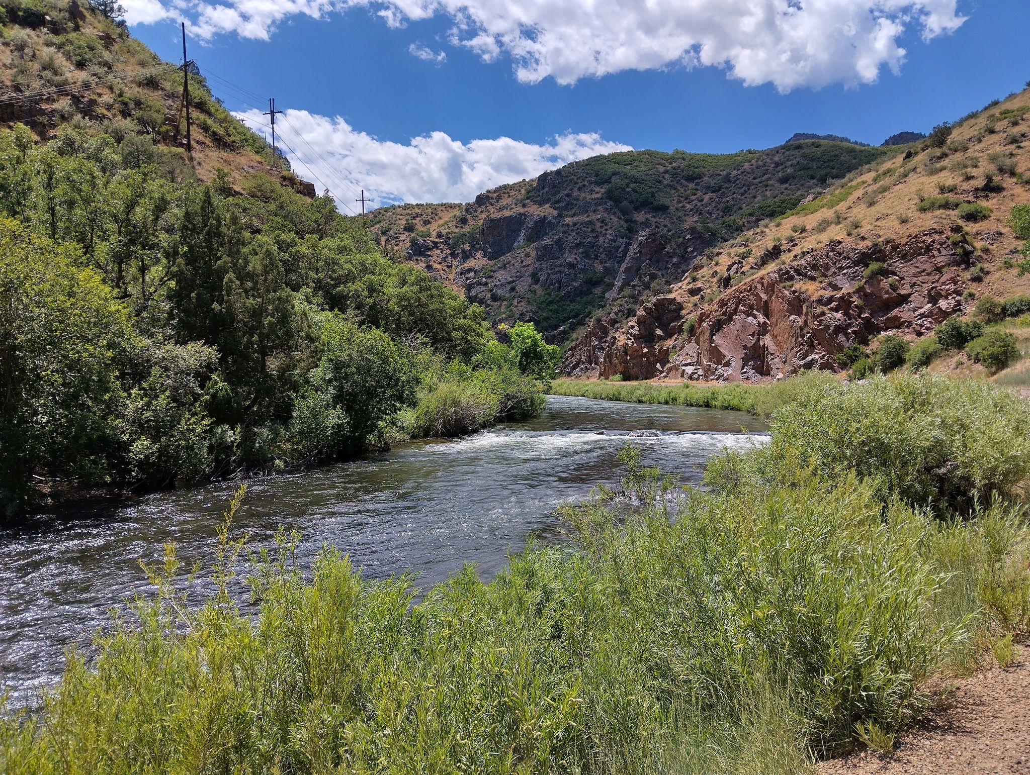 River flowing through a green canyon under a partly cloudy sky. - Waterton Canyon Trail via Colorado Trail