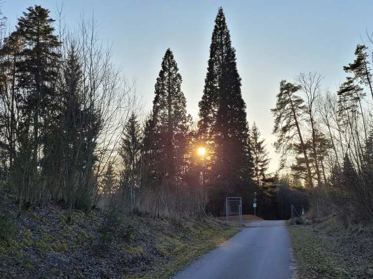 Feierabend Runde Spieleiche-Pinache | Mountainbike-Tour | Komoot