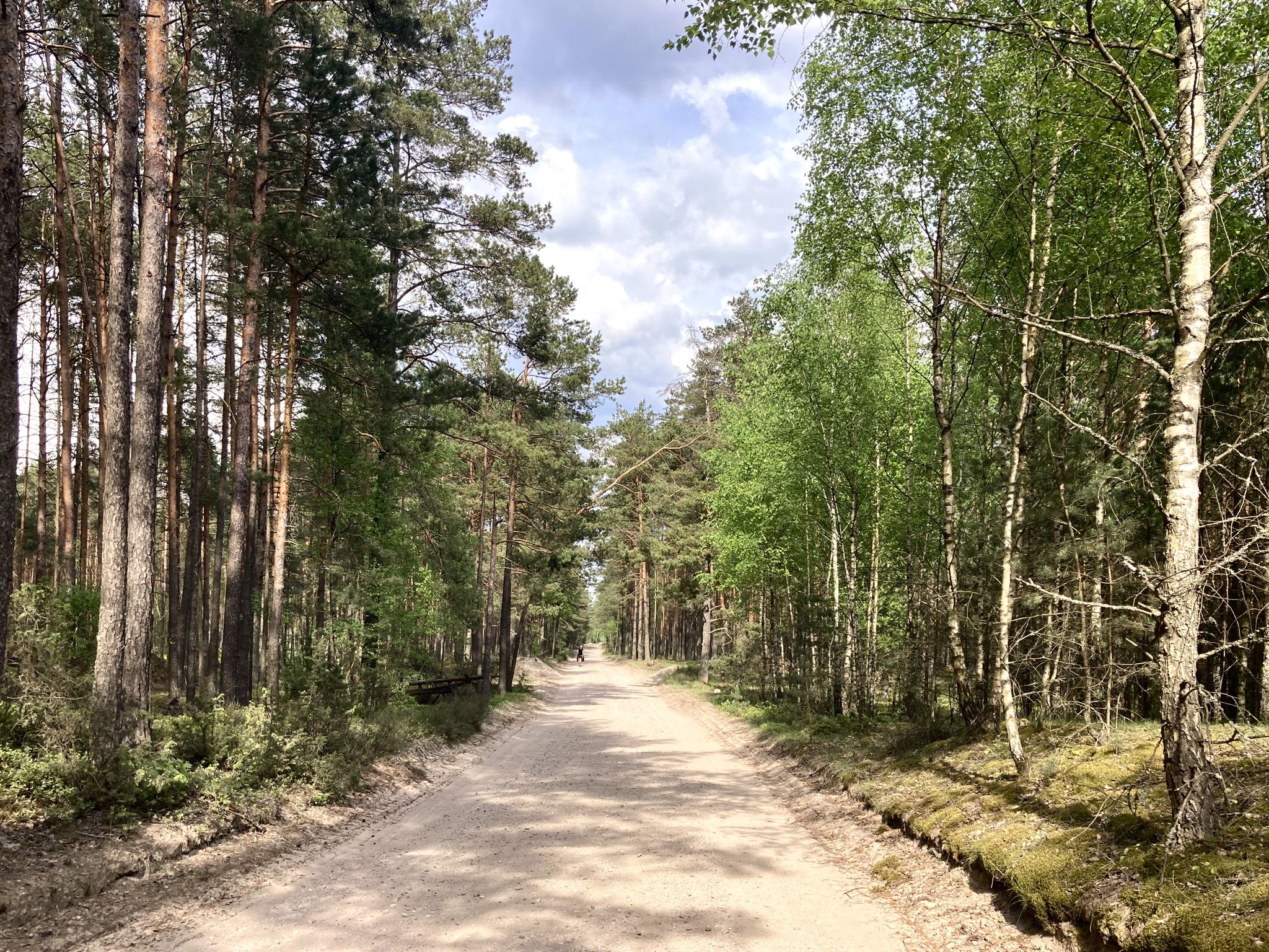 Im Schotterparadies