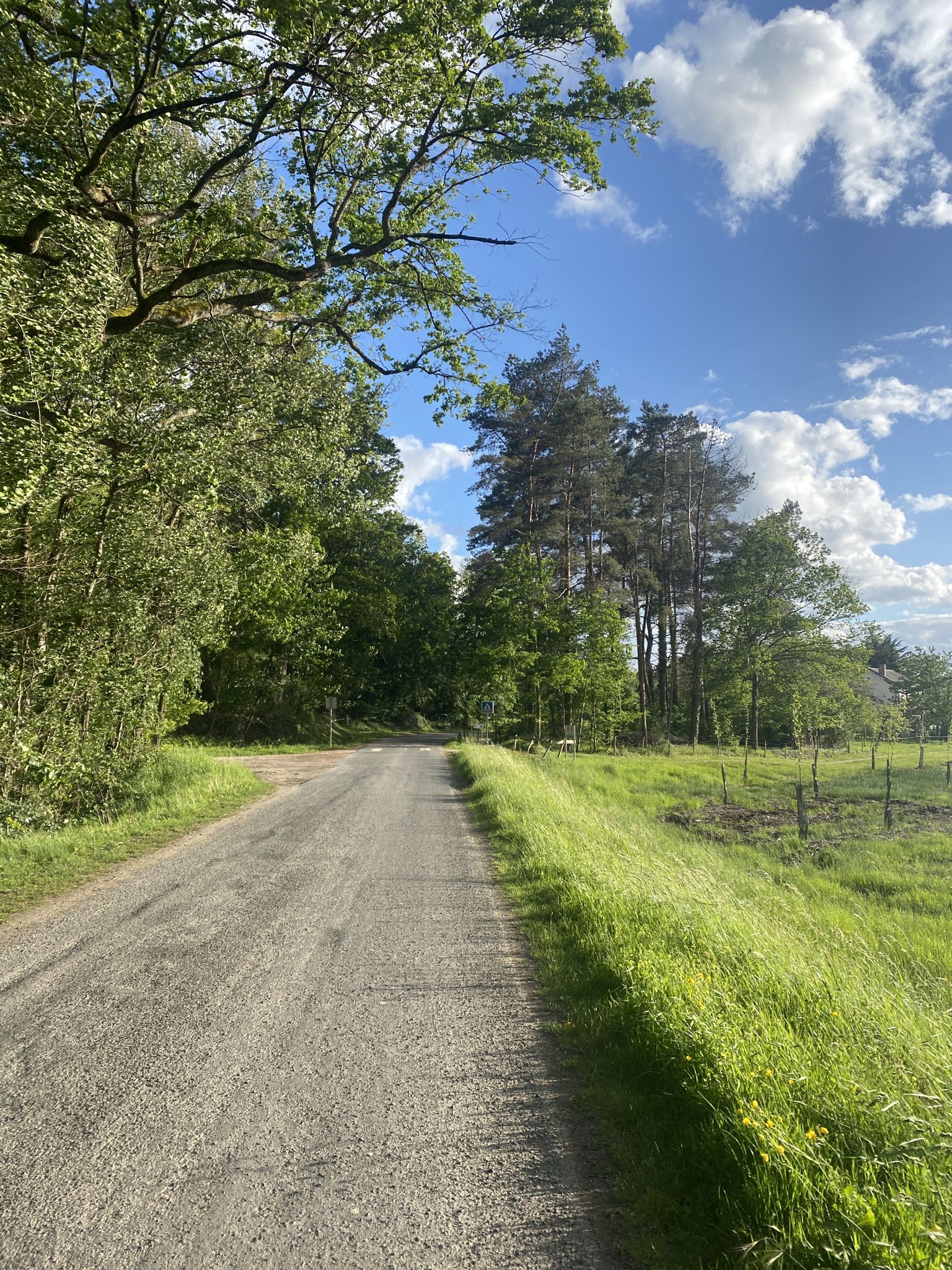 Ferriere sur Beaulieu 