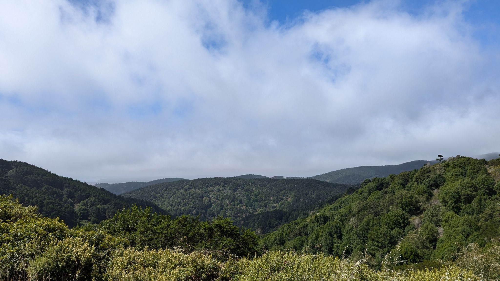 Expansive view of green forested hills under a cloudy sky. - Inverness, Bucklin, Bayview Loop