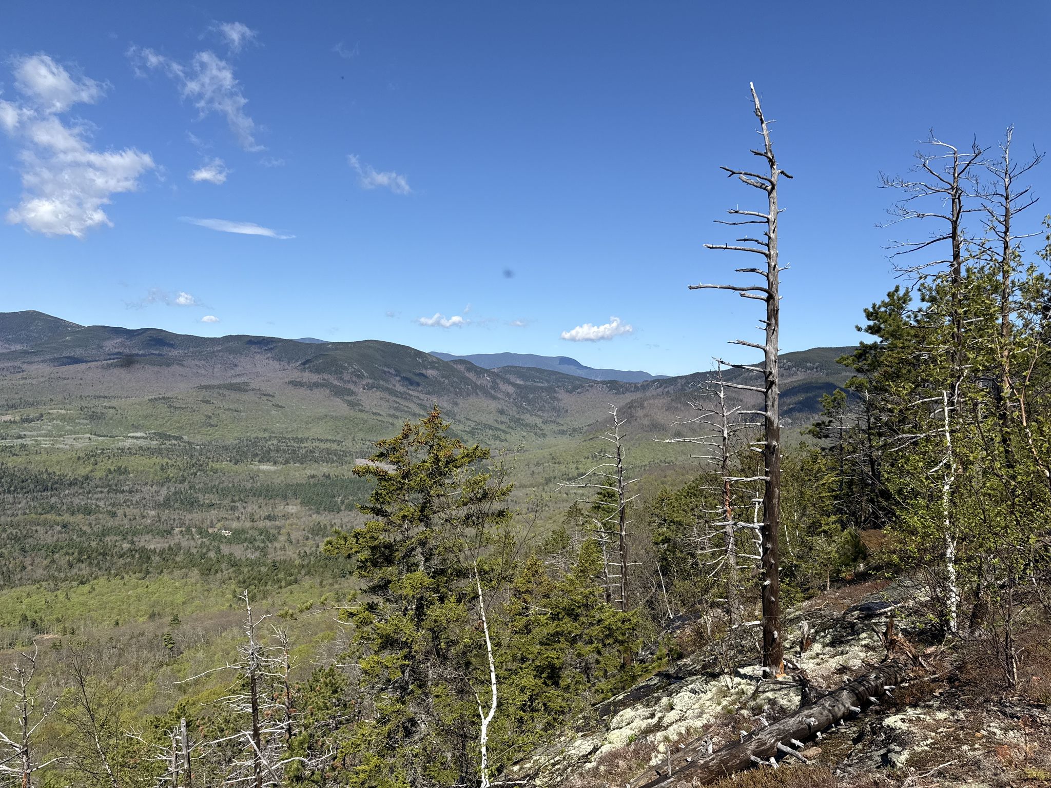 Evans Notch