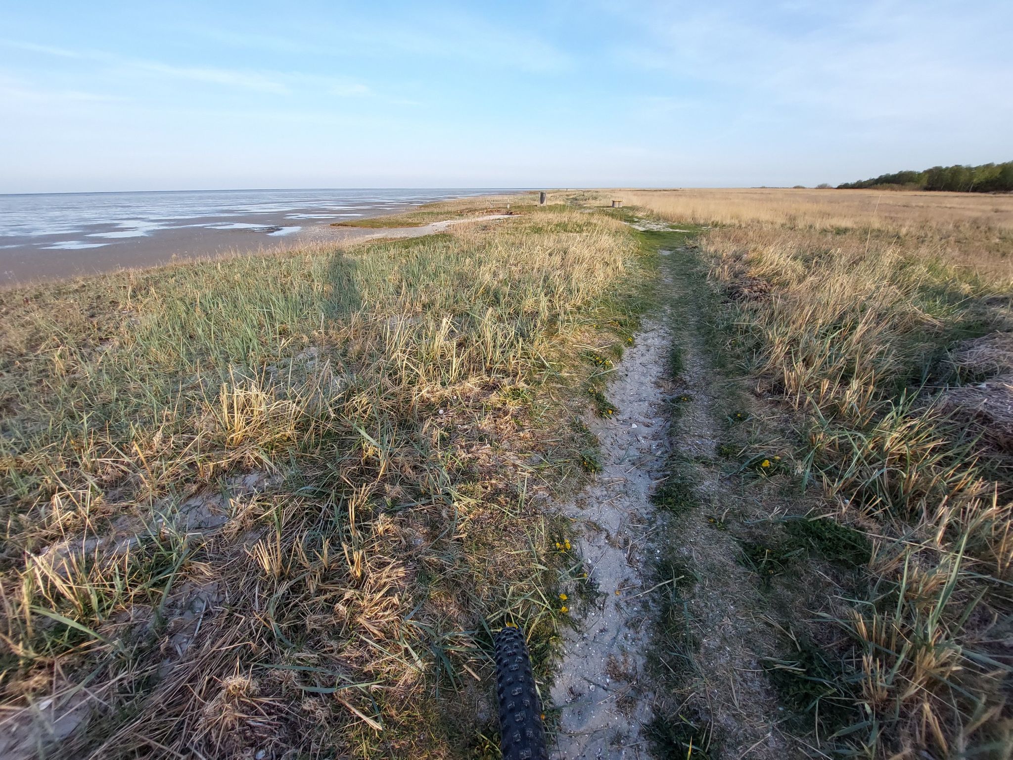 Pfad an der Ostsee entlang
