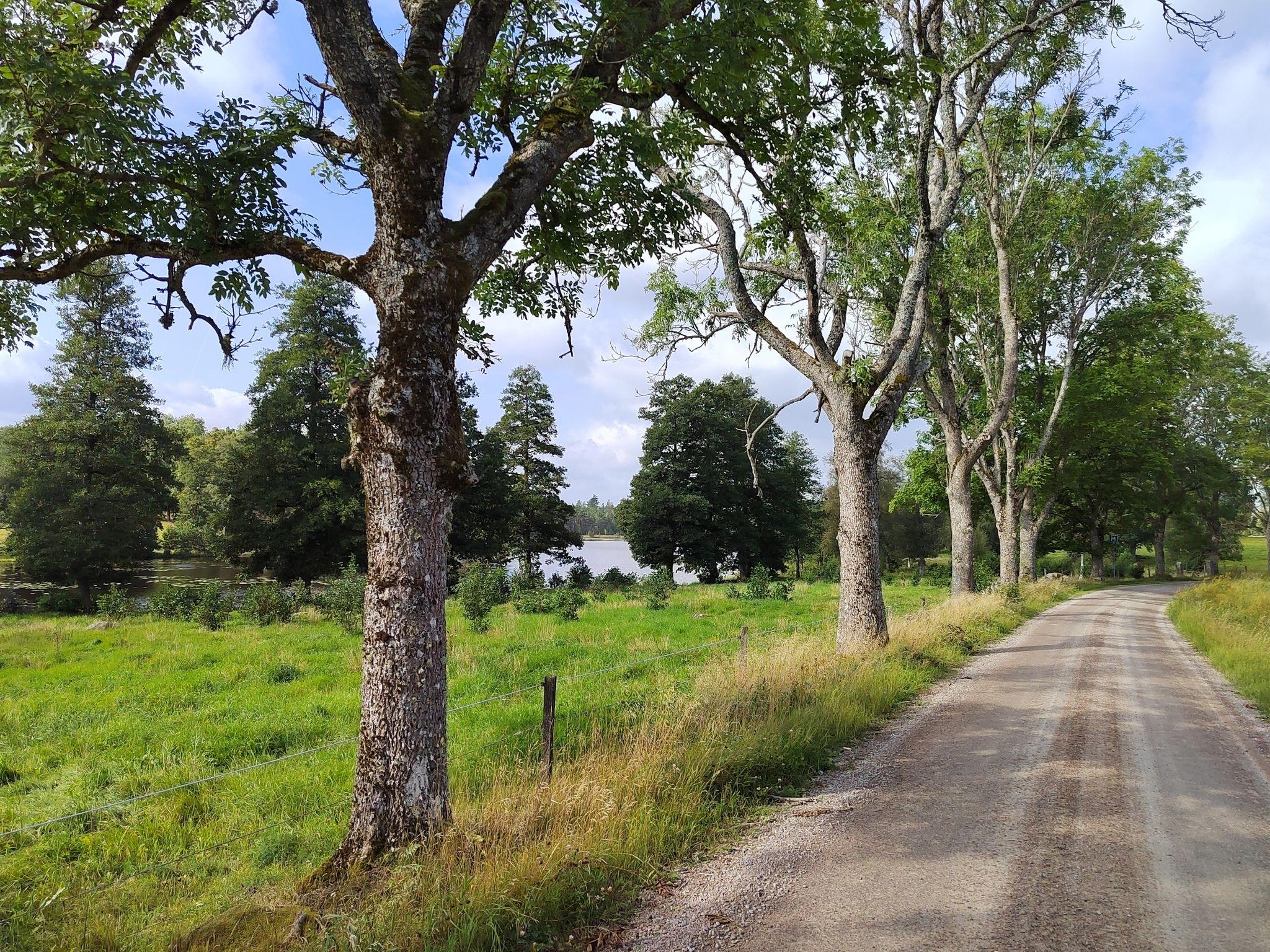 Schöne Landschaft