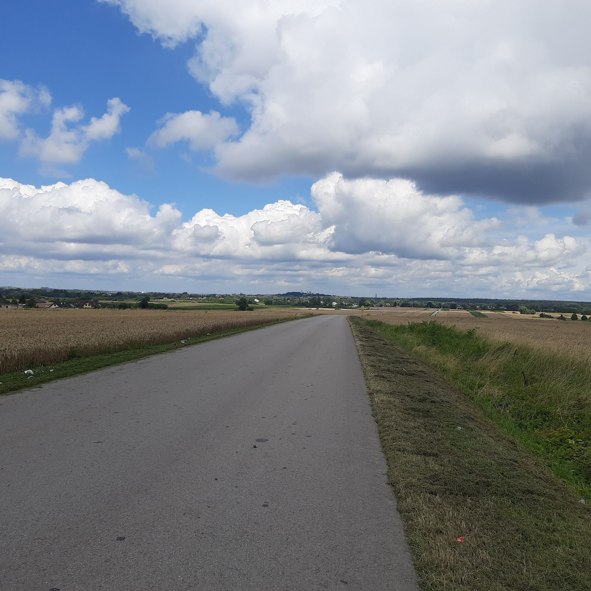 chełm