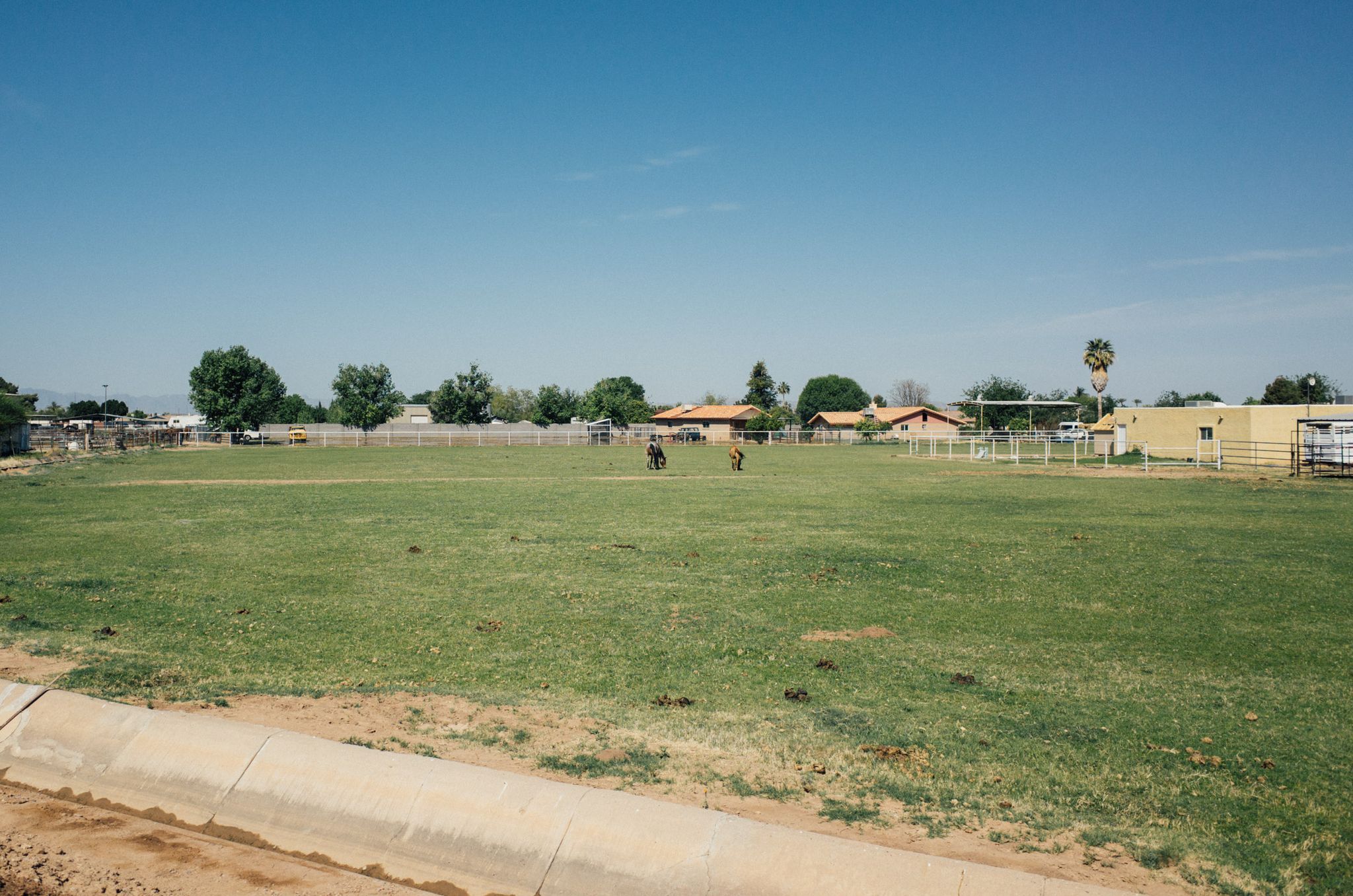 Two people ride horses across a large green field on a sunny day. - Sun Circle Trail – Paseo Vista Recreation Area loop from Chandler