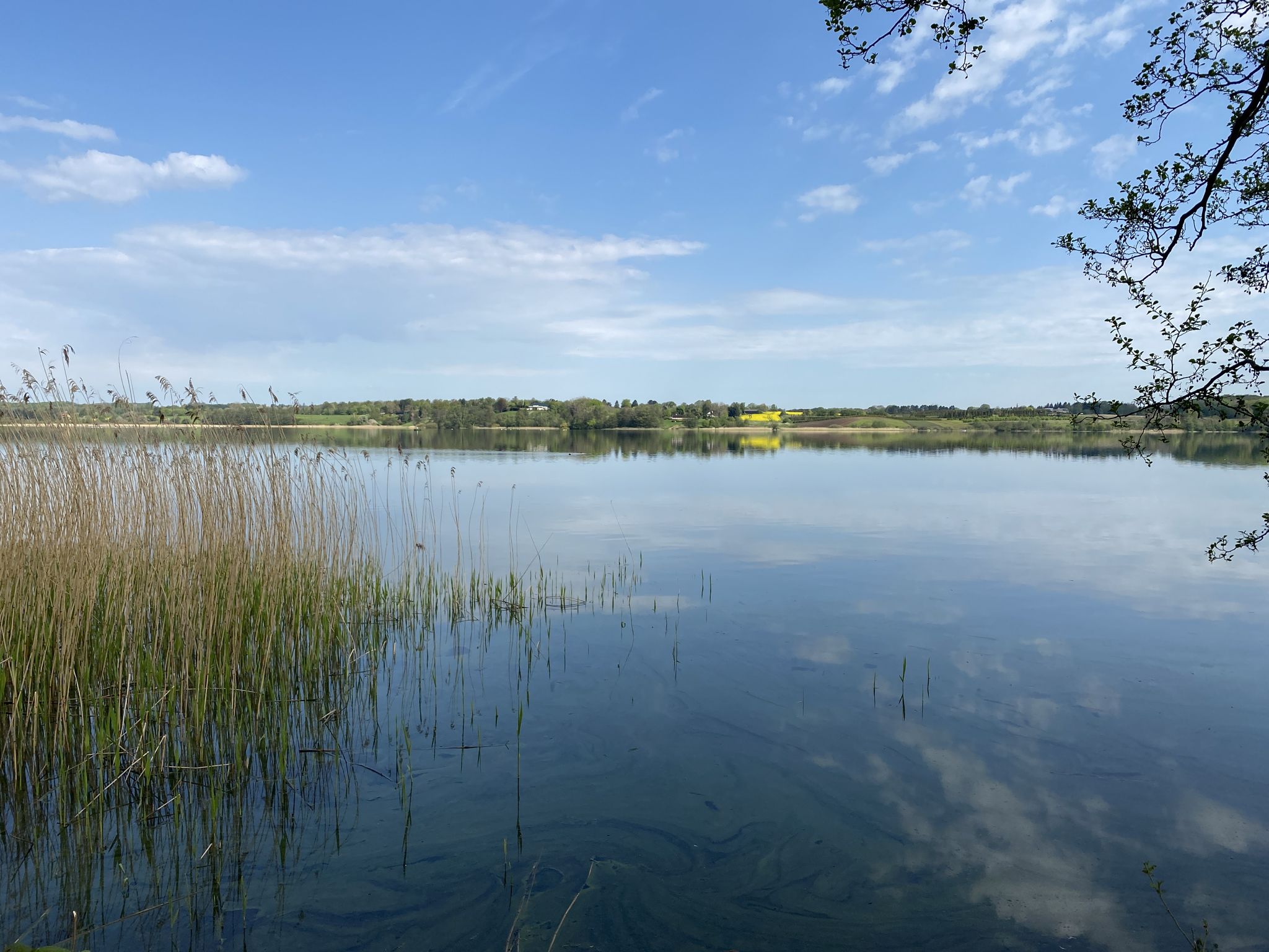Sjælsø 