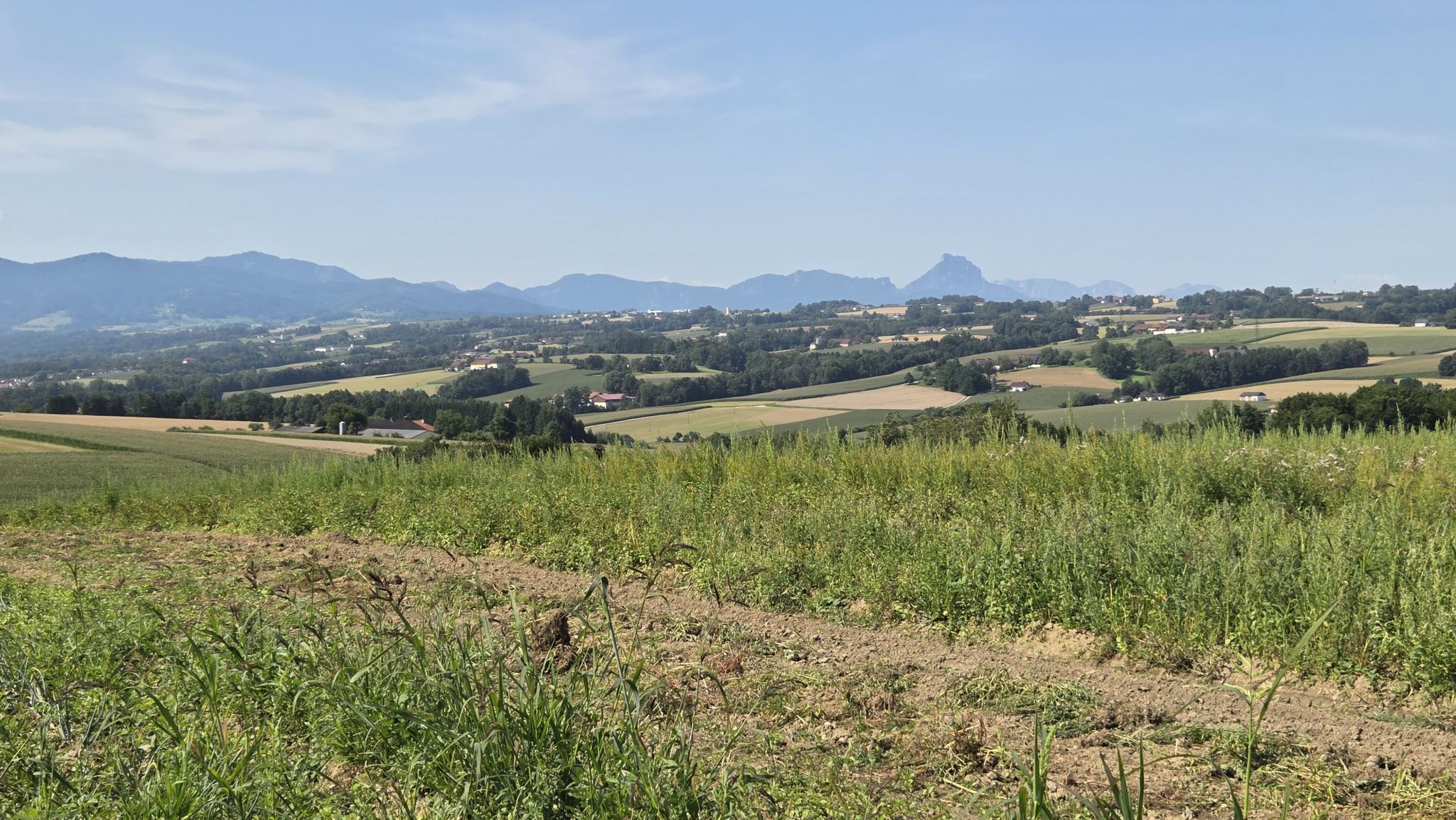 Blick auf die Alpen bei Diepersdorf (Wartberg)