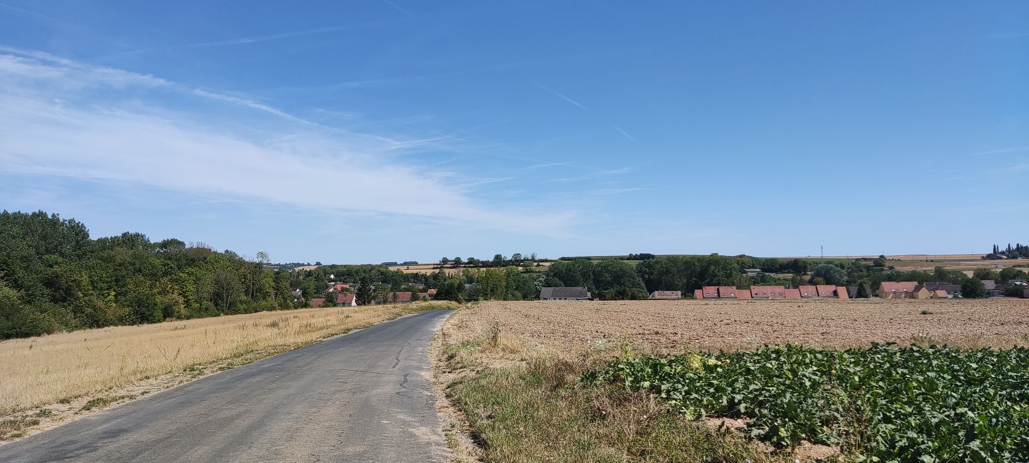 z góry 