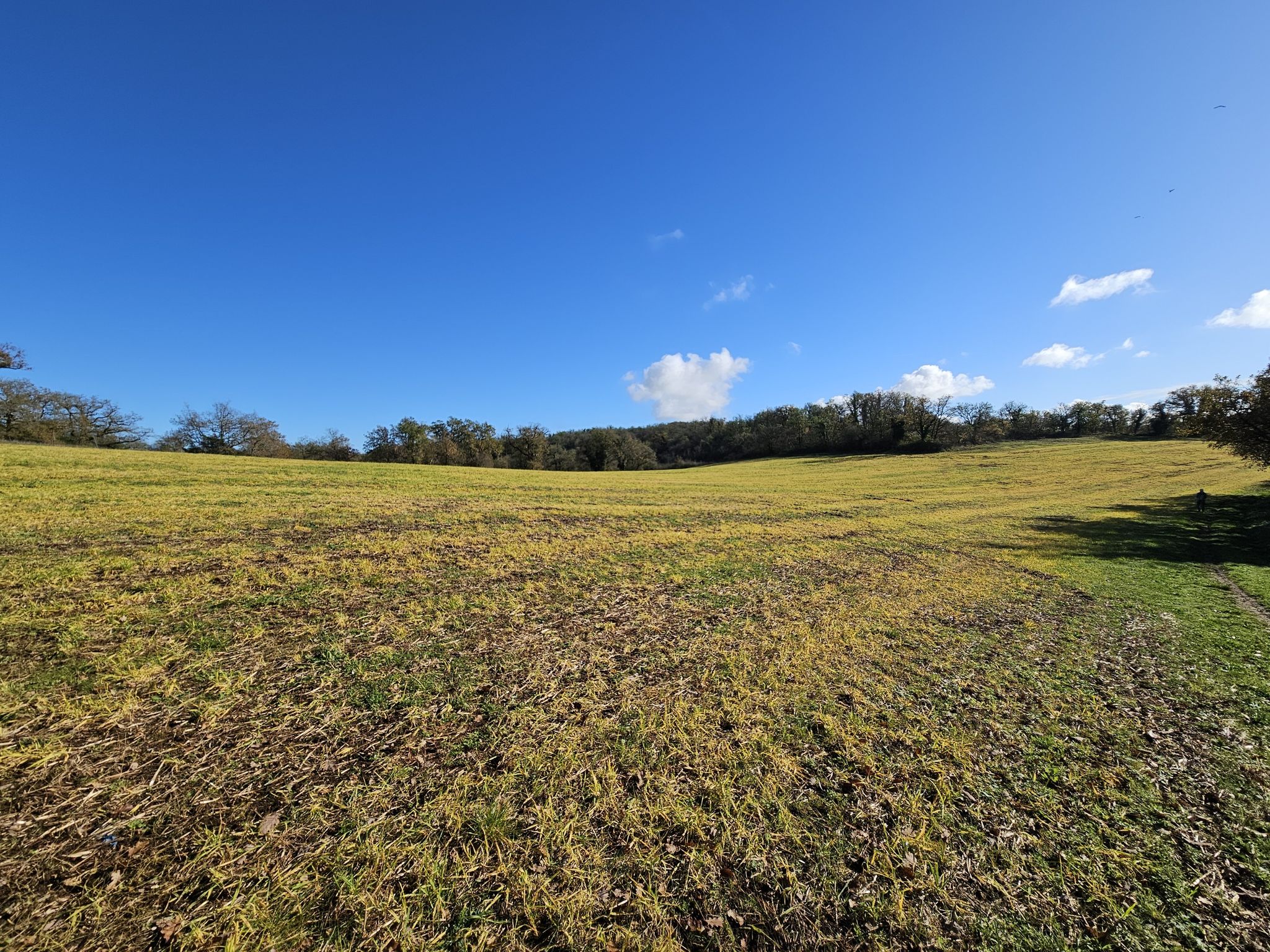 prairie du Causse