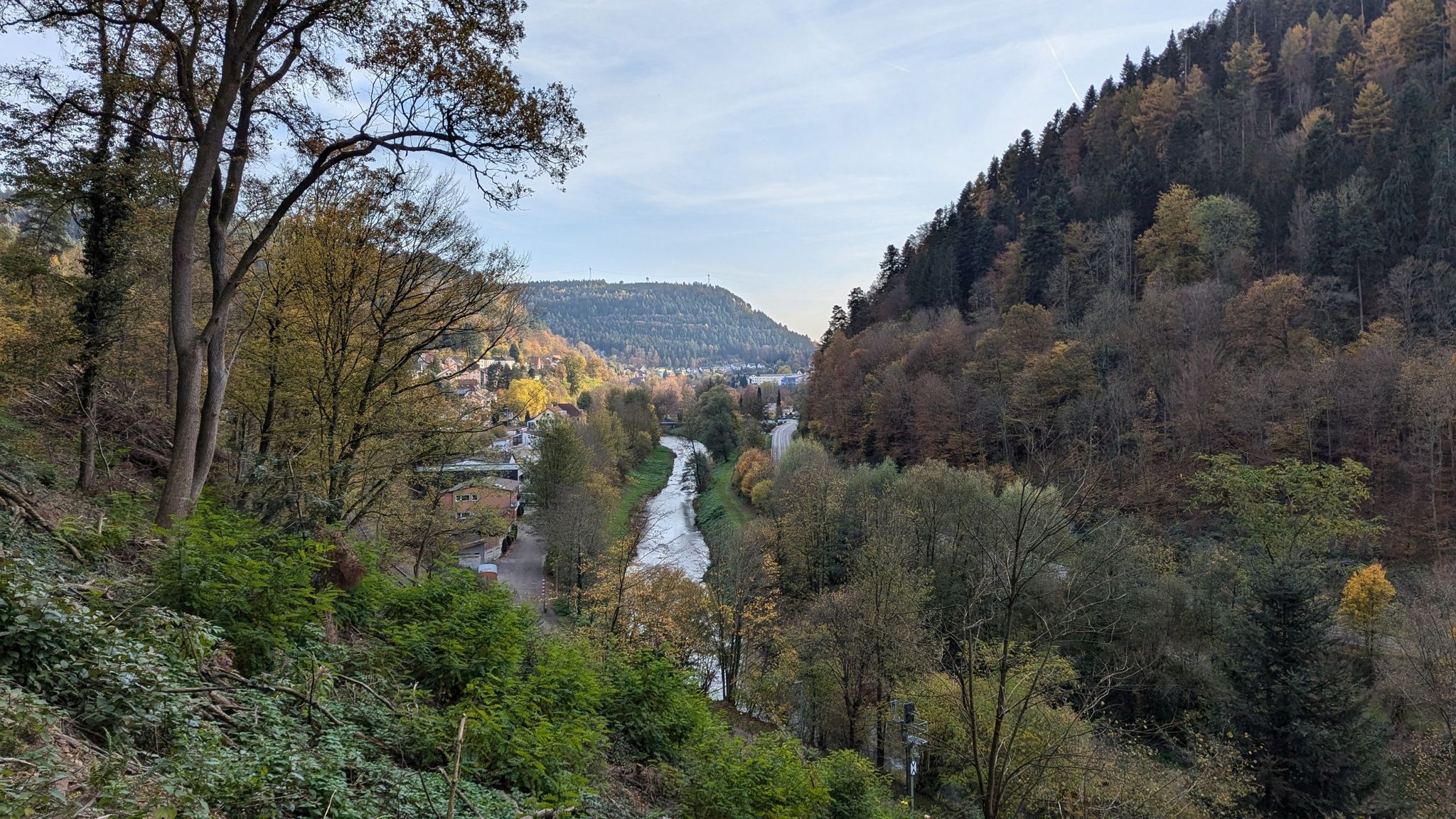 Blick ins Nagoldtal, kurz vor Bad Liebenzell
