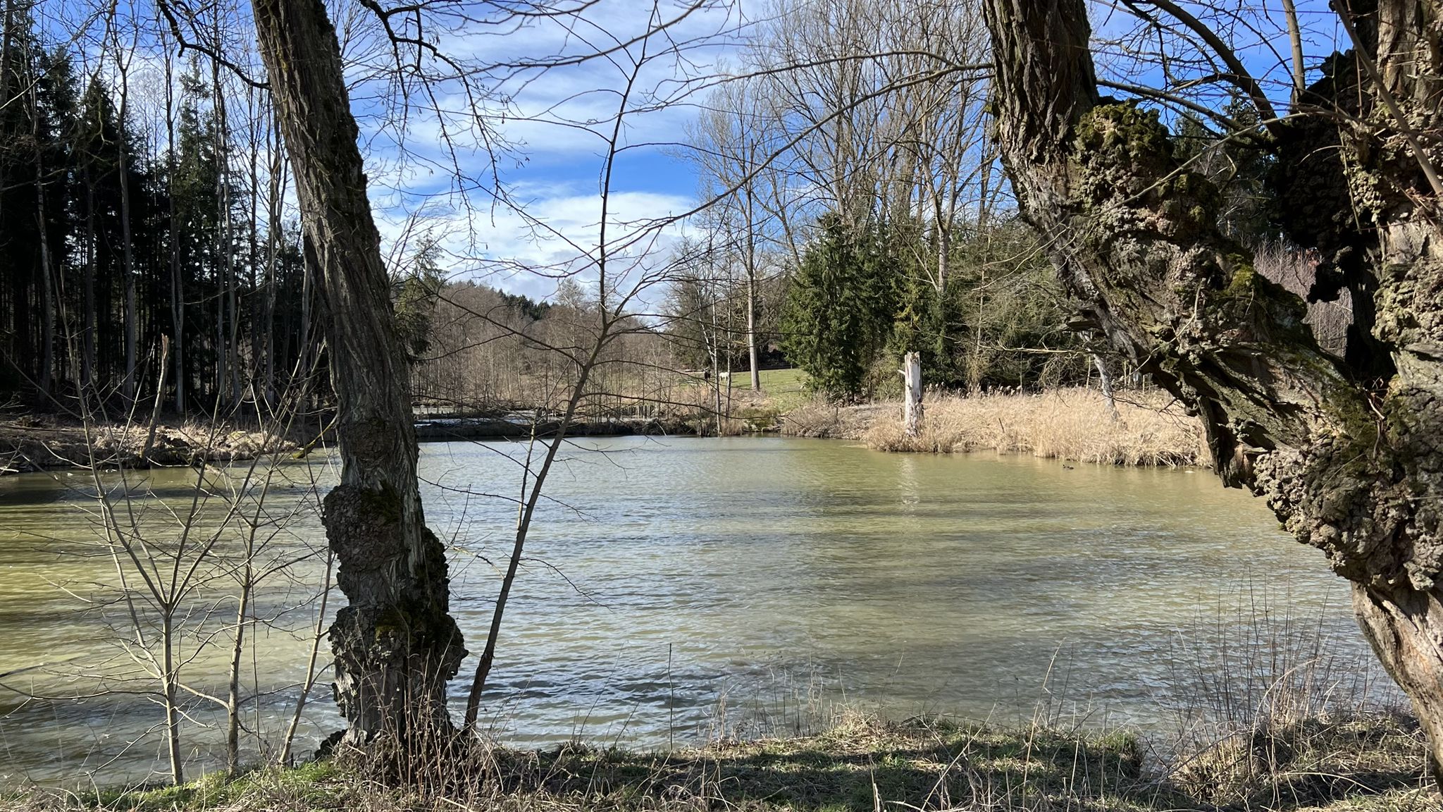 Fischweiher in Ainertshofen..