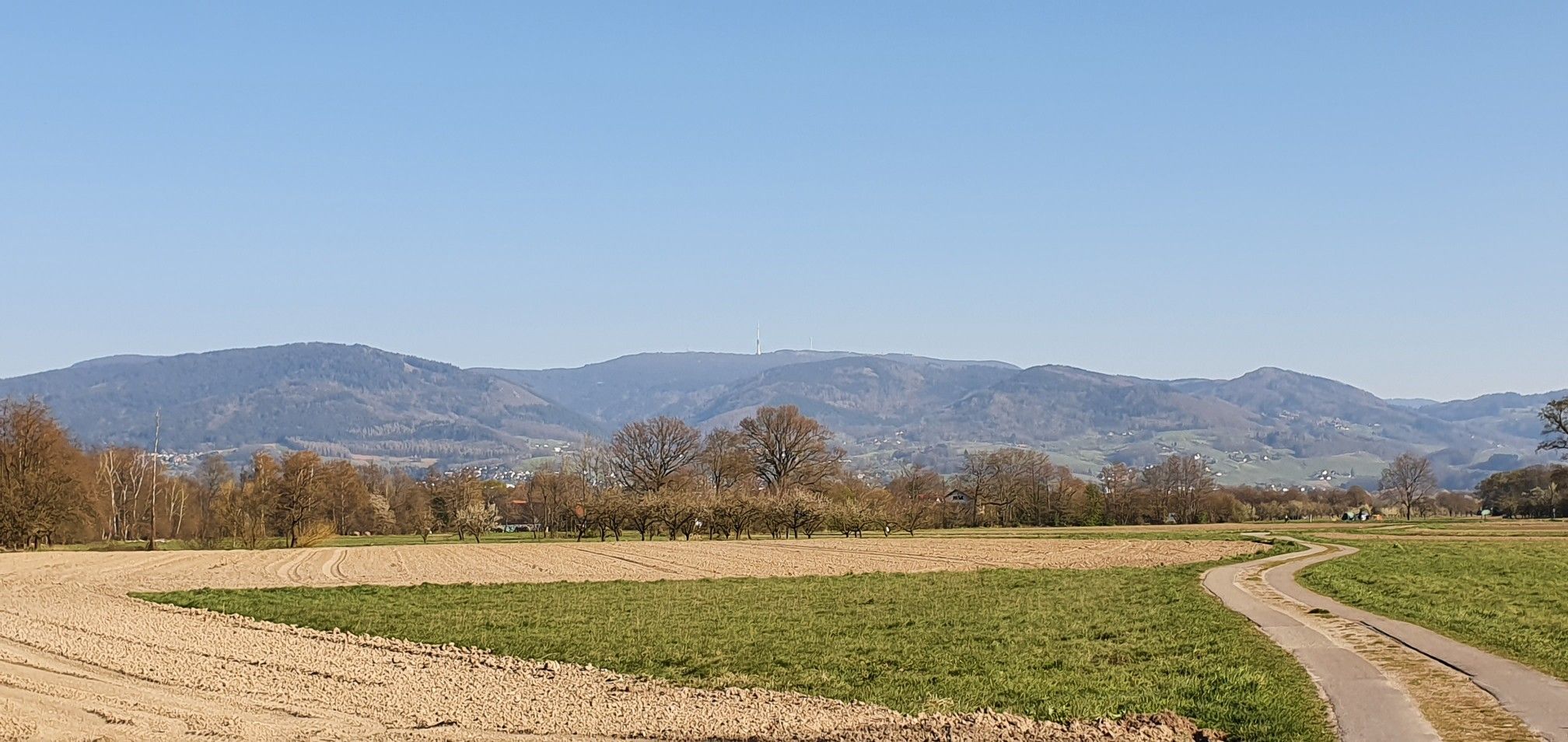 bei Wa LM zfeld, Blick auf Hornisgrinde 