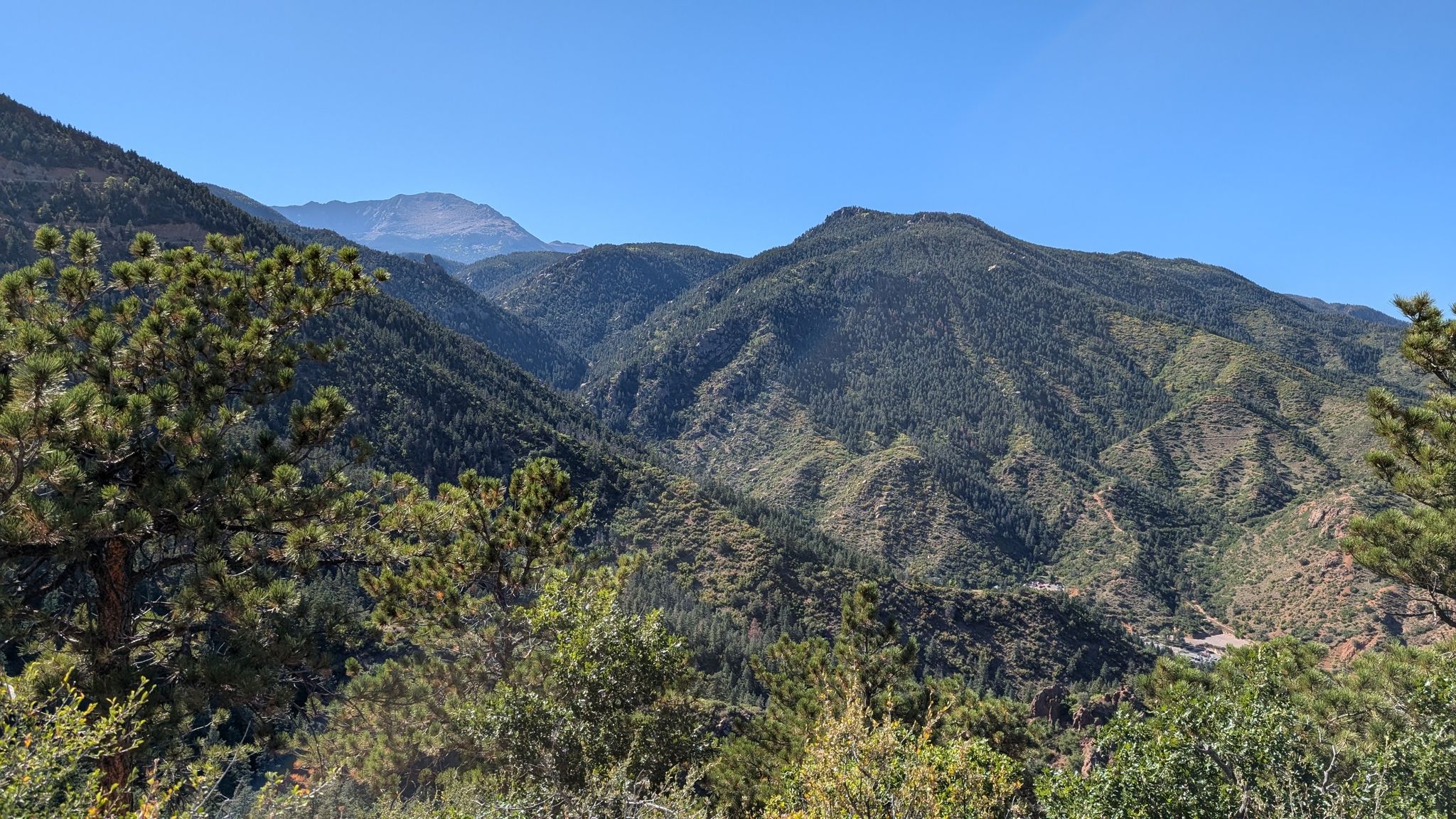 Green mountains and pine trees under a clear blue sky on a sunny day. - Red Mountain Trail