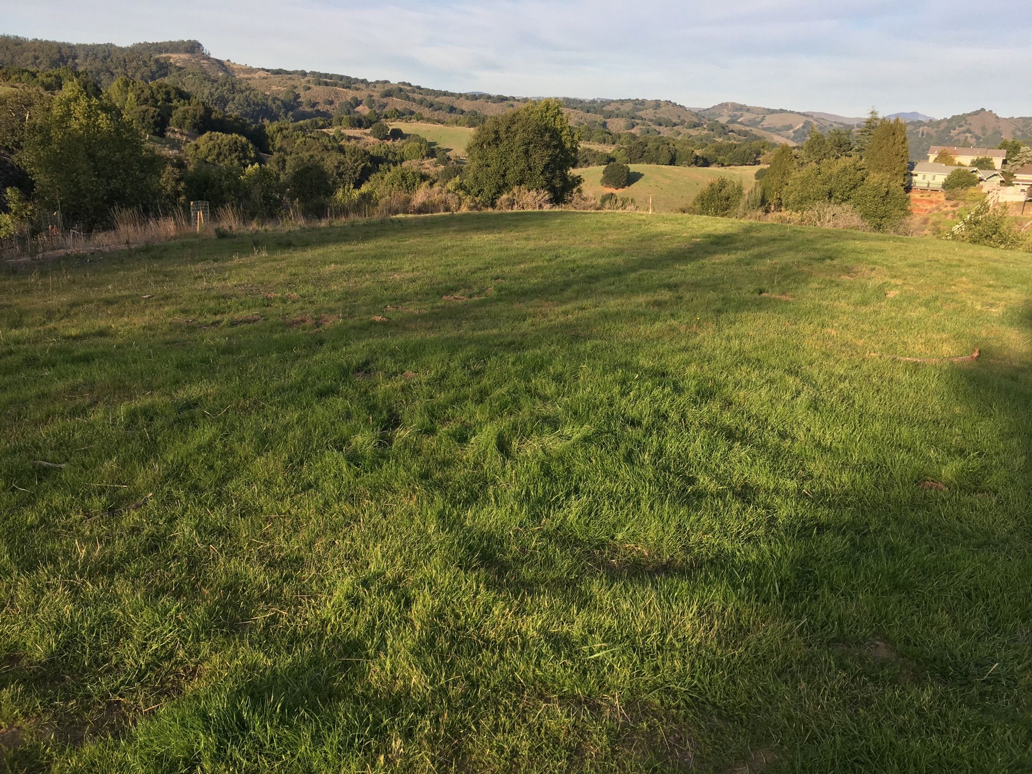 Sunny grassy field with rolling hills and trees in the background. - Ten Hills Trail