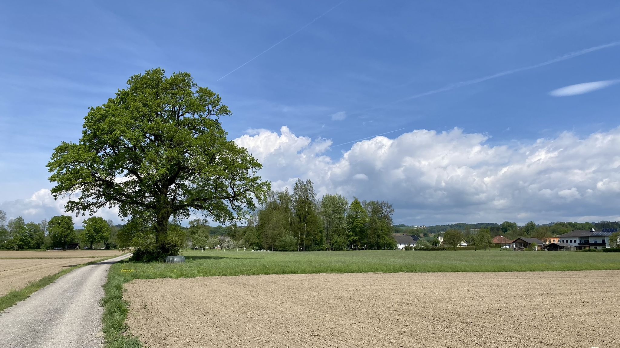 Start in Baumgartenberg